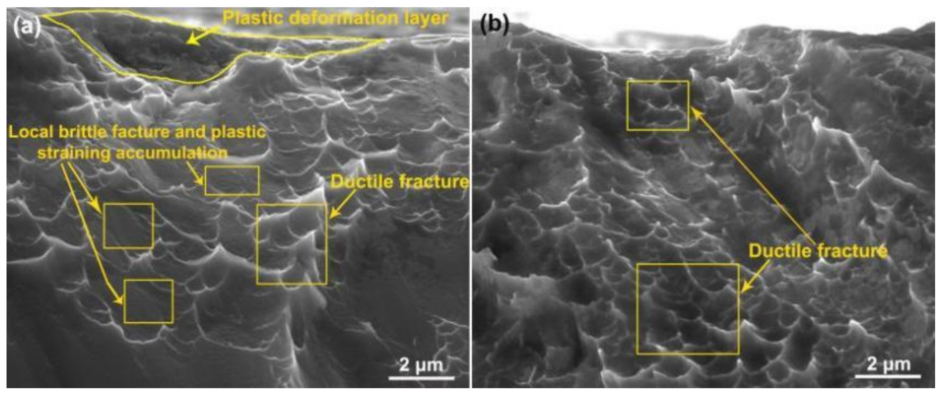 Coatings 12 01443 g010 Coatings 12 01443 g010