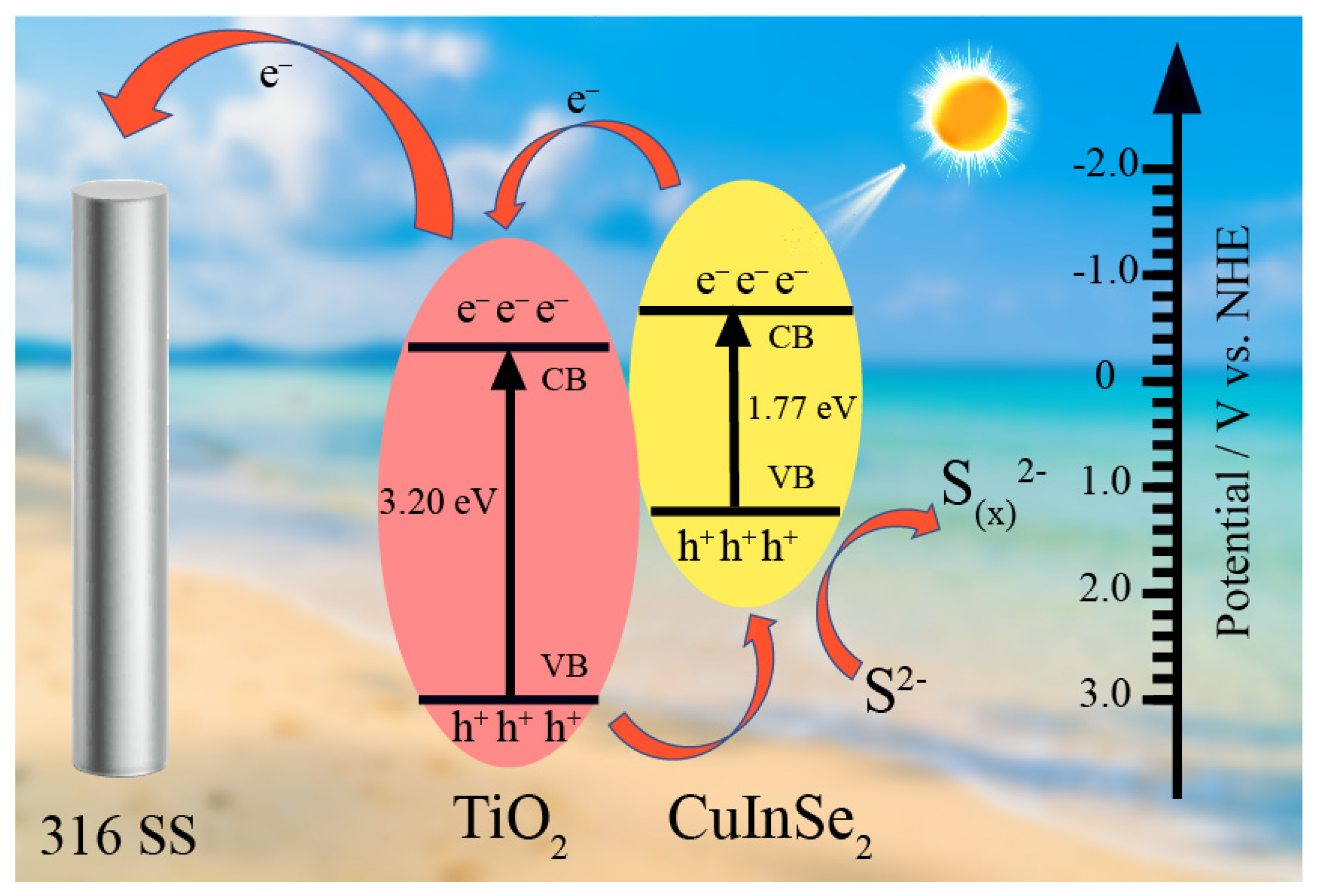 Coatings 12 01448 g011 550