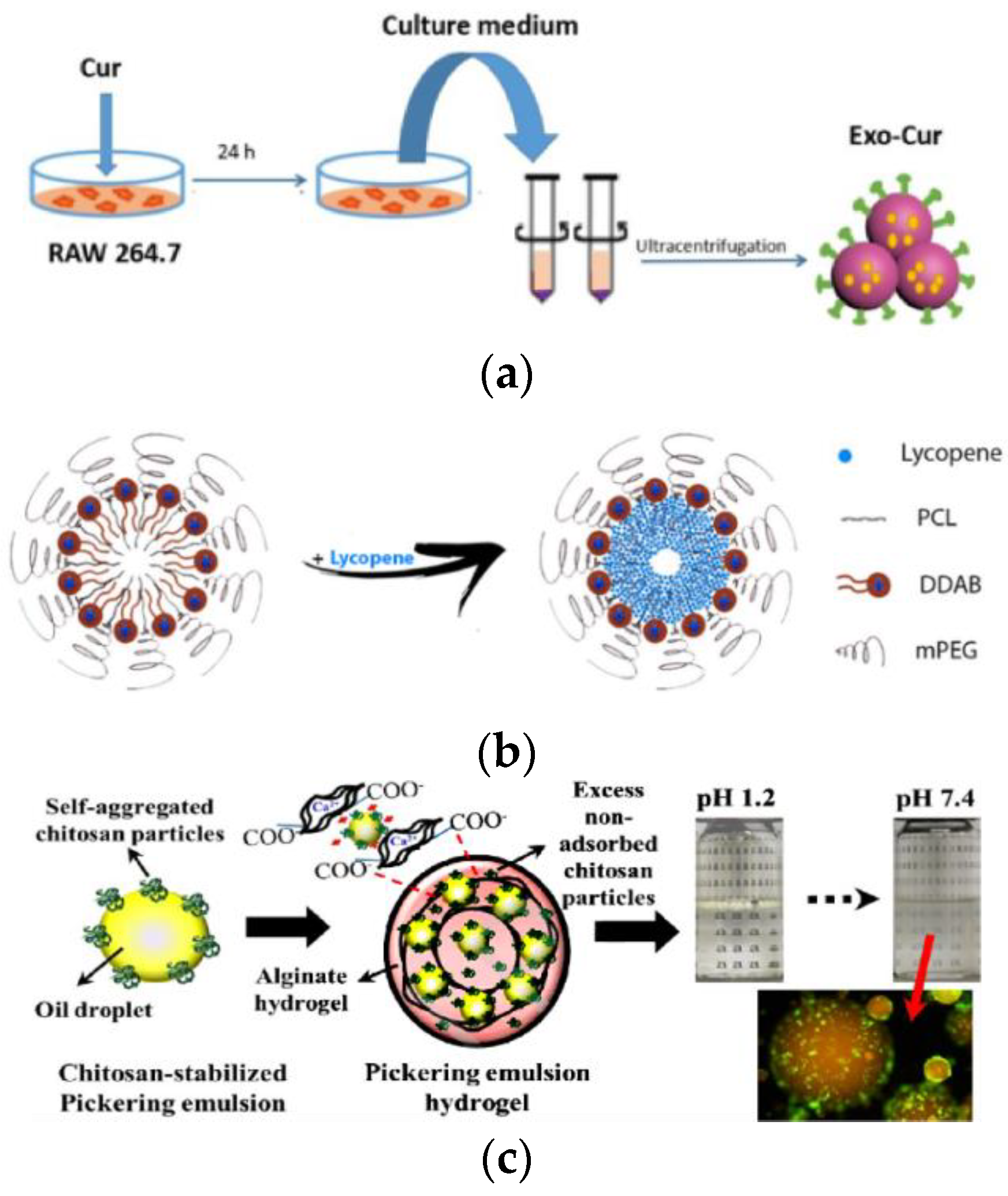 Coatings 12 01449 g002 Coatings 12 01449 g002