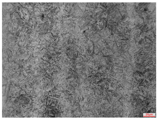 Effects of 3D Roughness Parameters of Sandblasted Surface on
