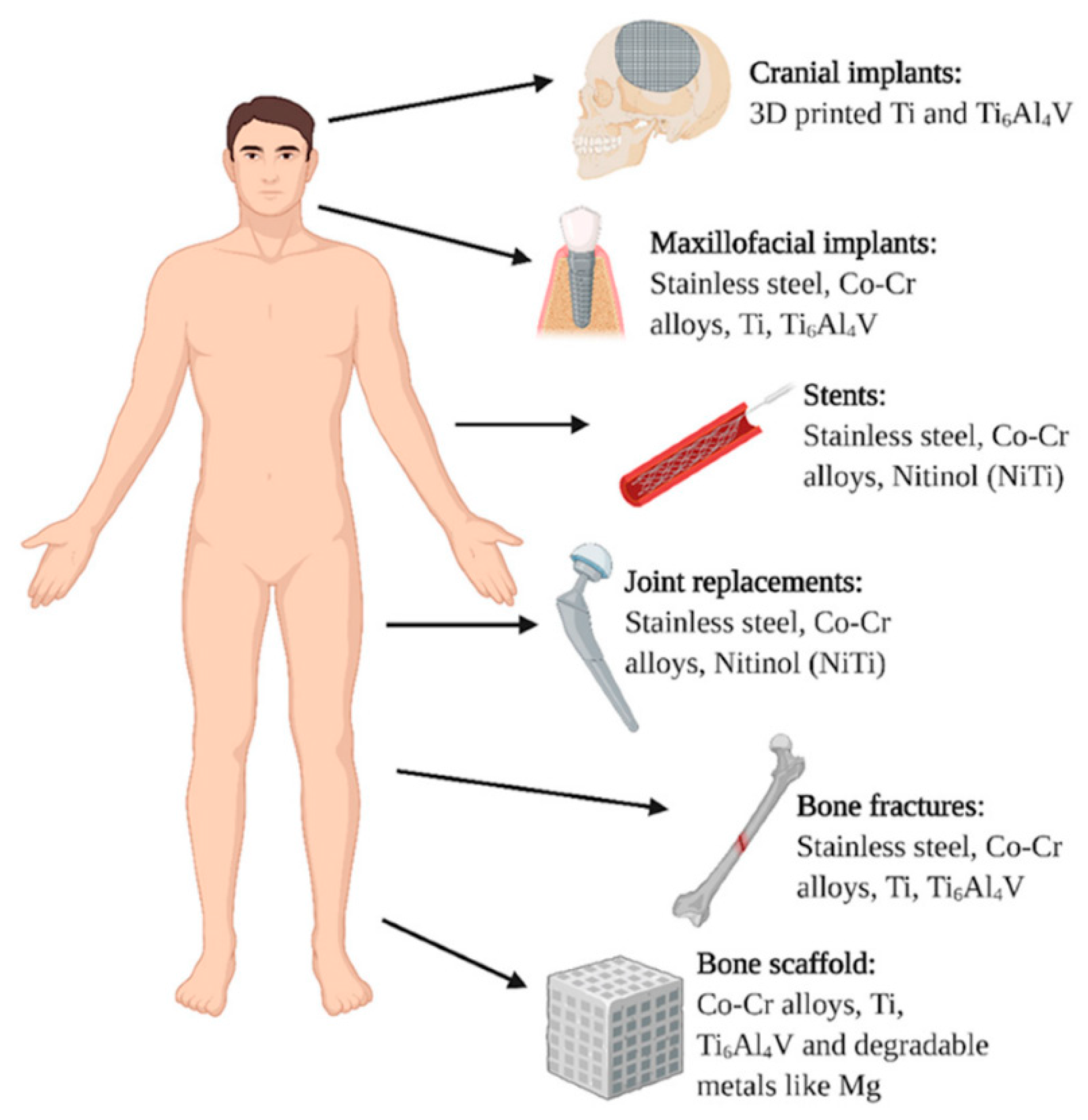Coatings 12 01459 g001
