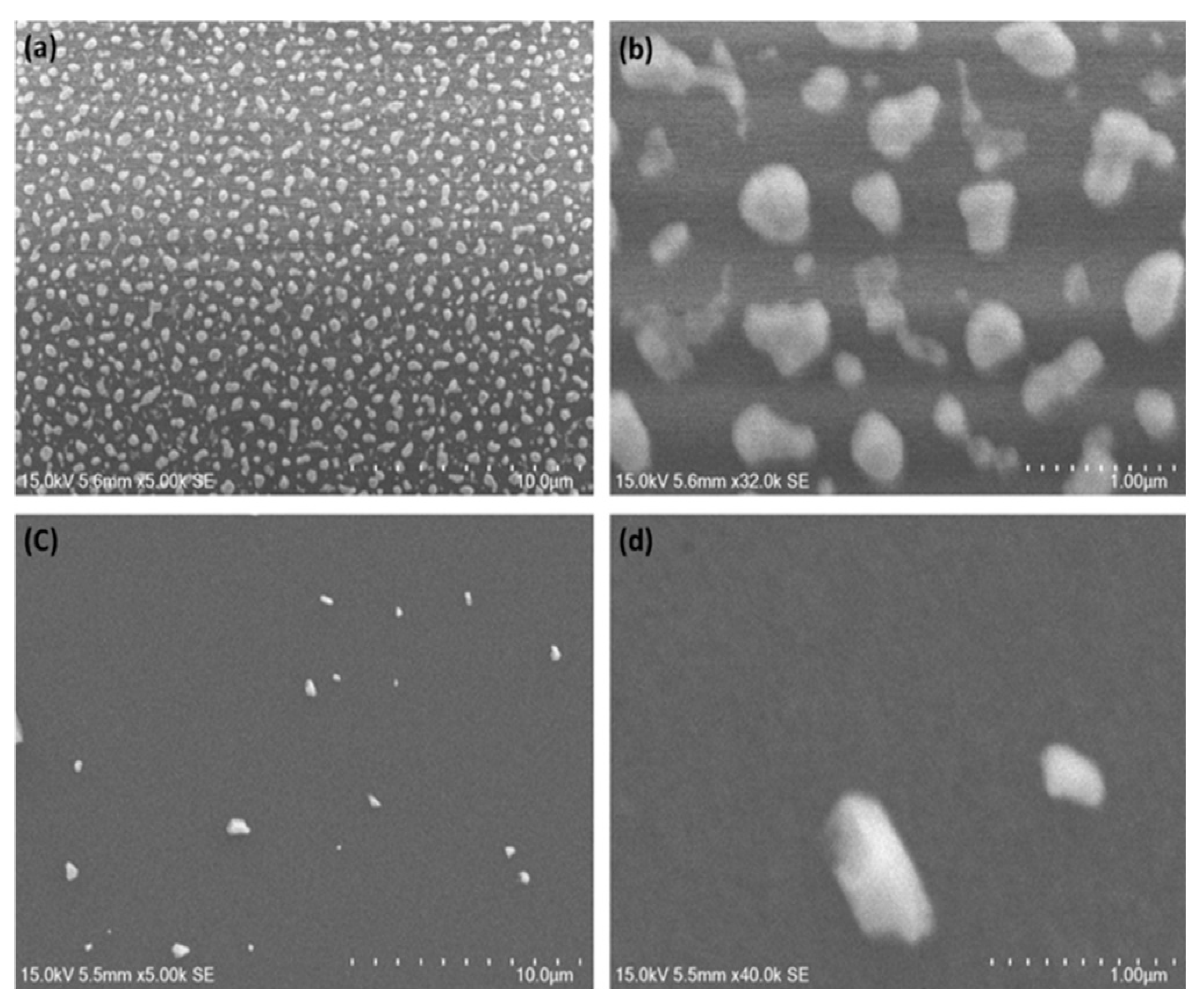 Coatings 12 01459 g014