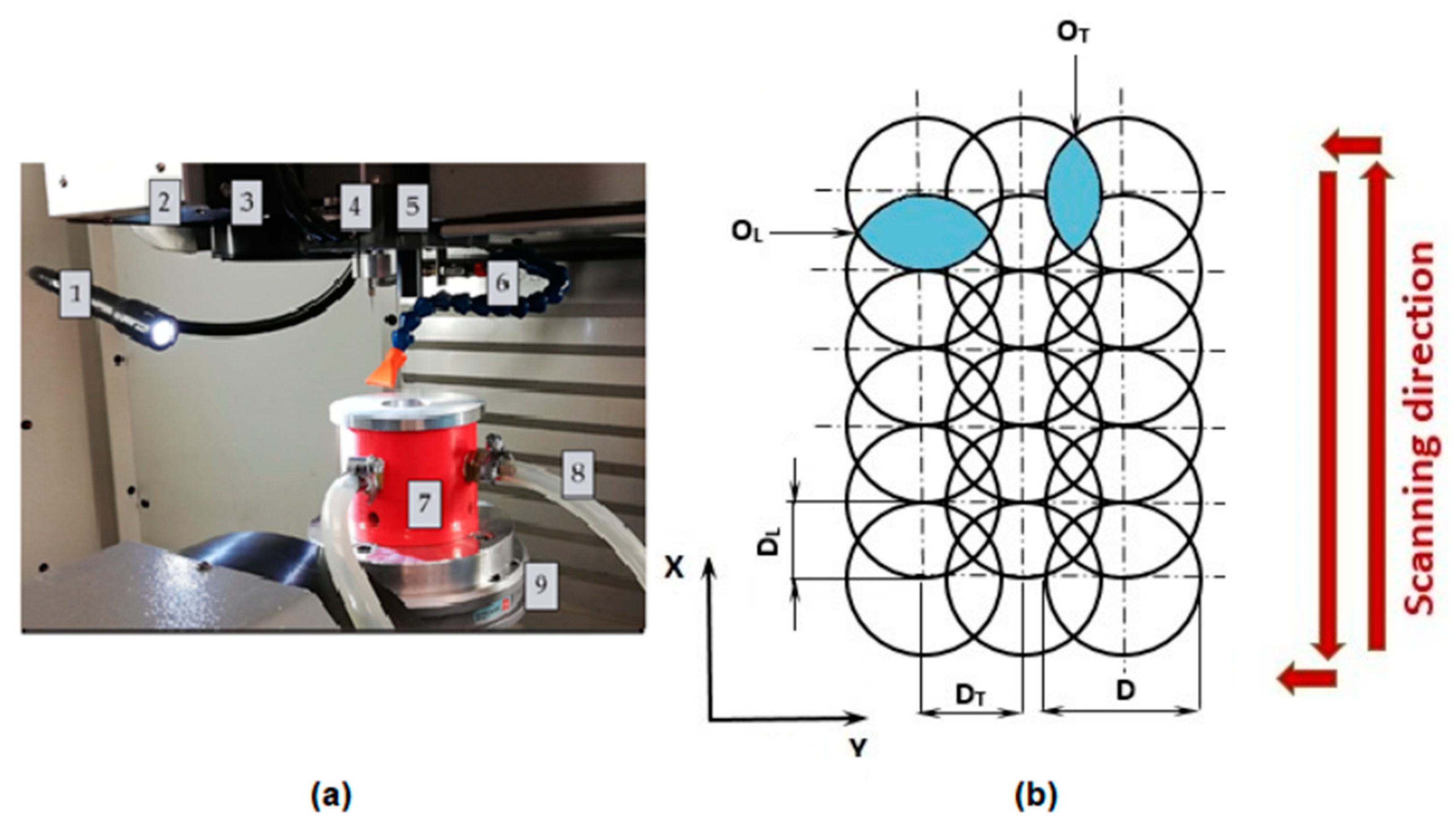 Coatings 12 01459 g017