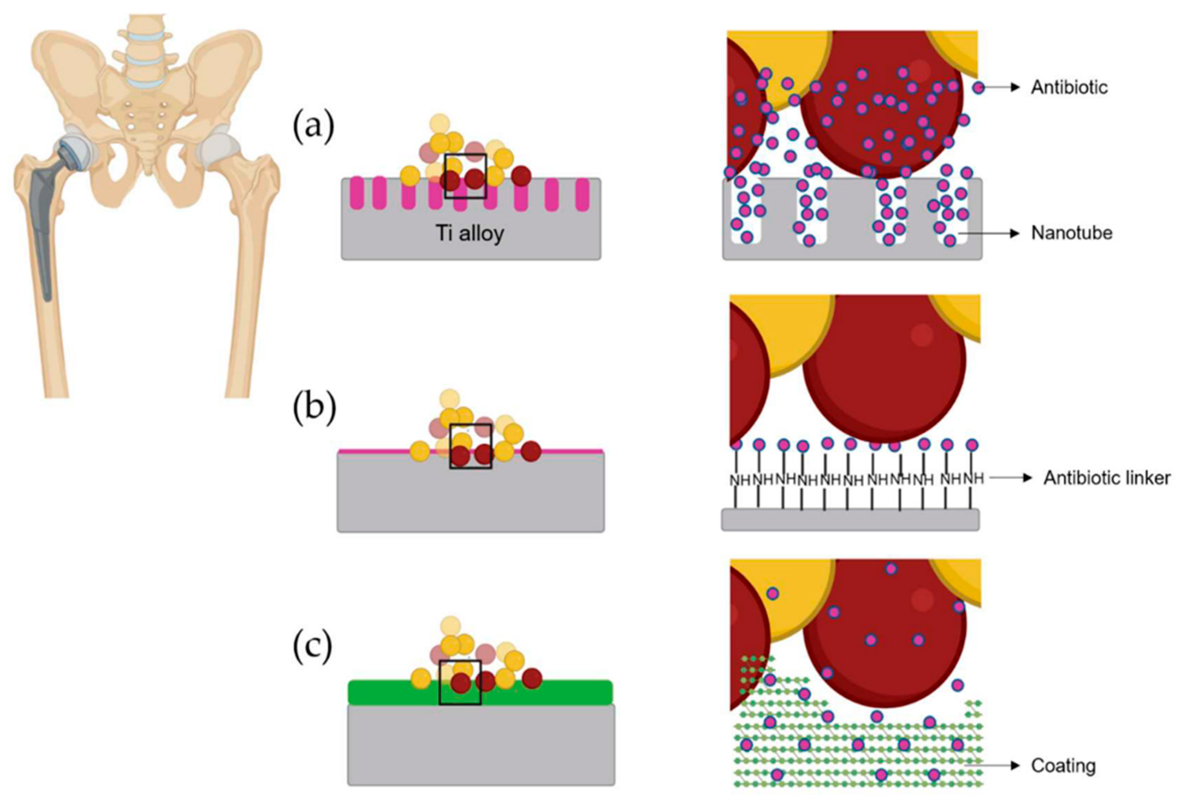 Coatings 12 01459 g021