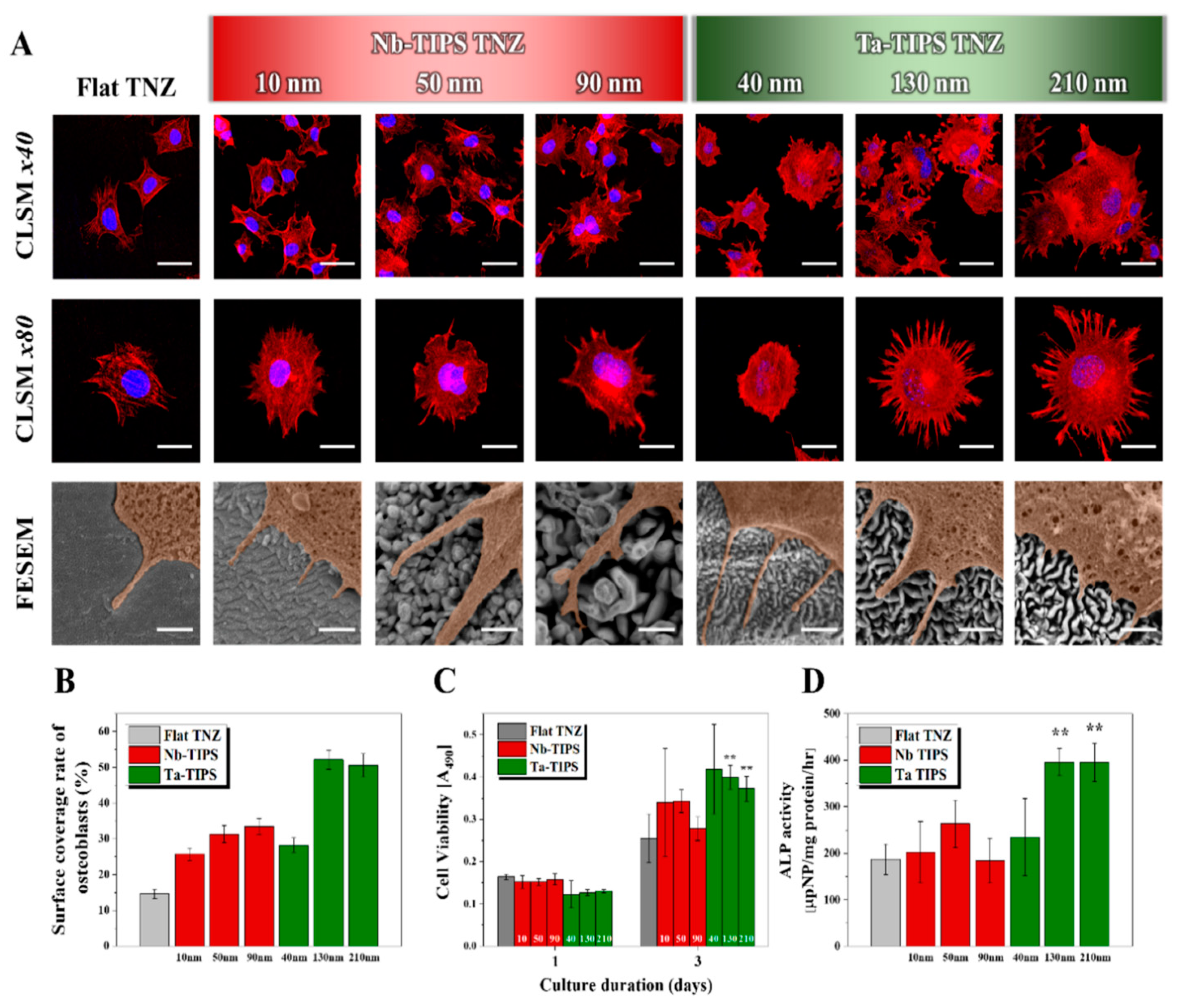 Coatings 12 01459 g022