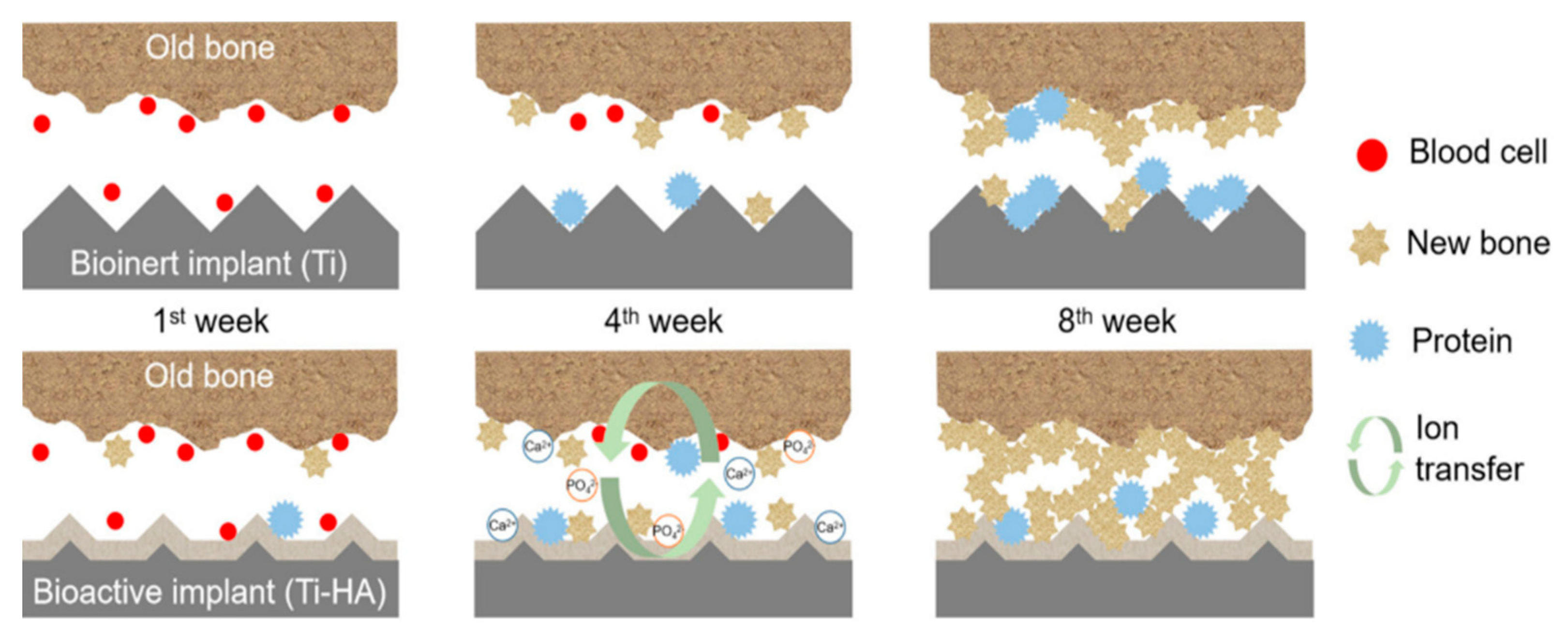 Coatings 12 01459 g023