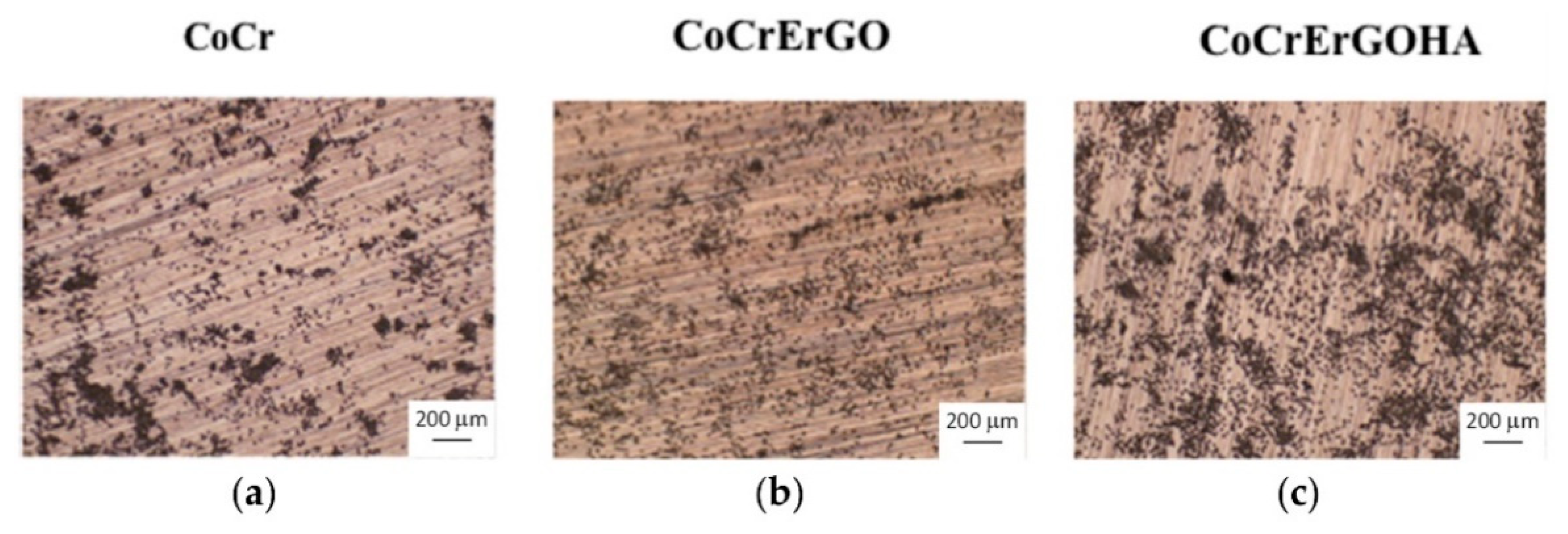Coatings 12 01459 g024