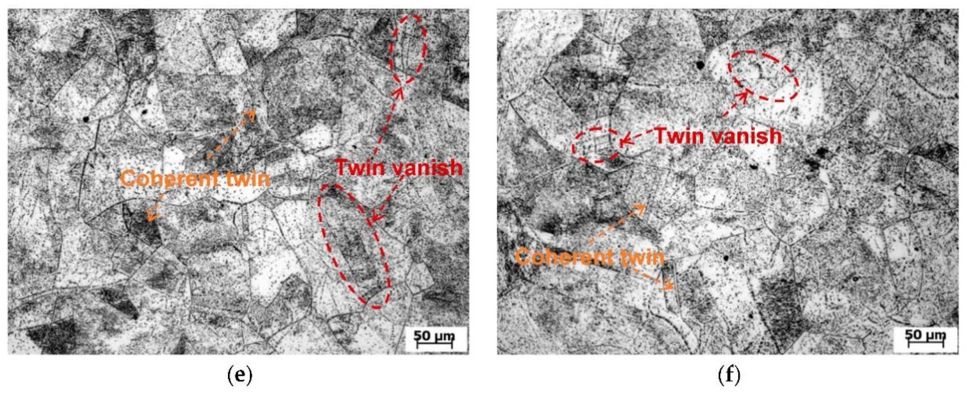 Coatings 12 01461 g001b Coatings 12 01461 g001b