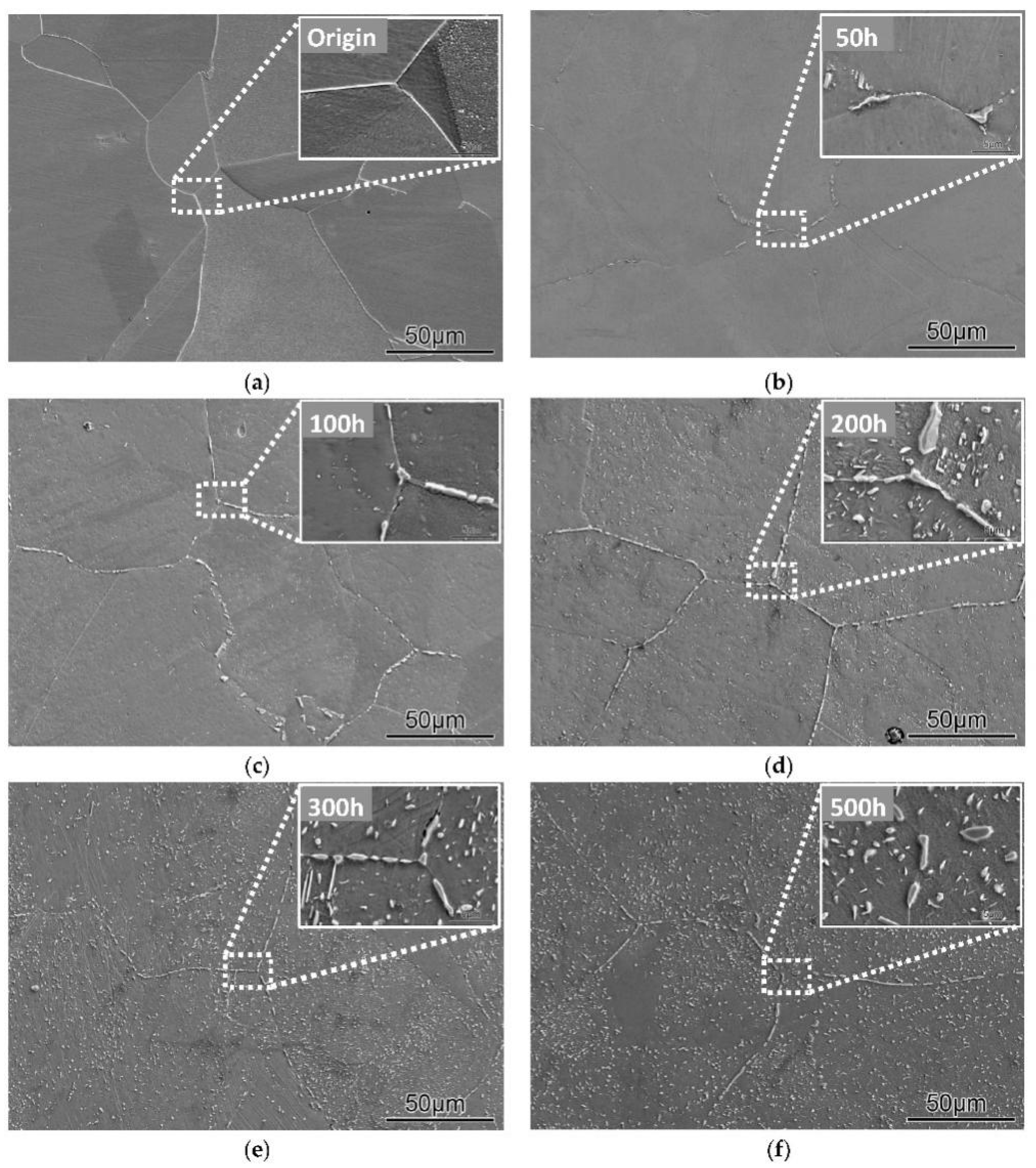 Coatings 12 01461 g002 Coatings 12 01461 g002