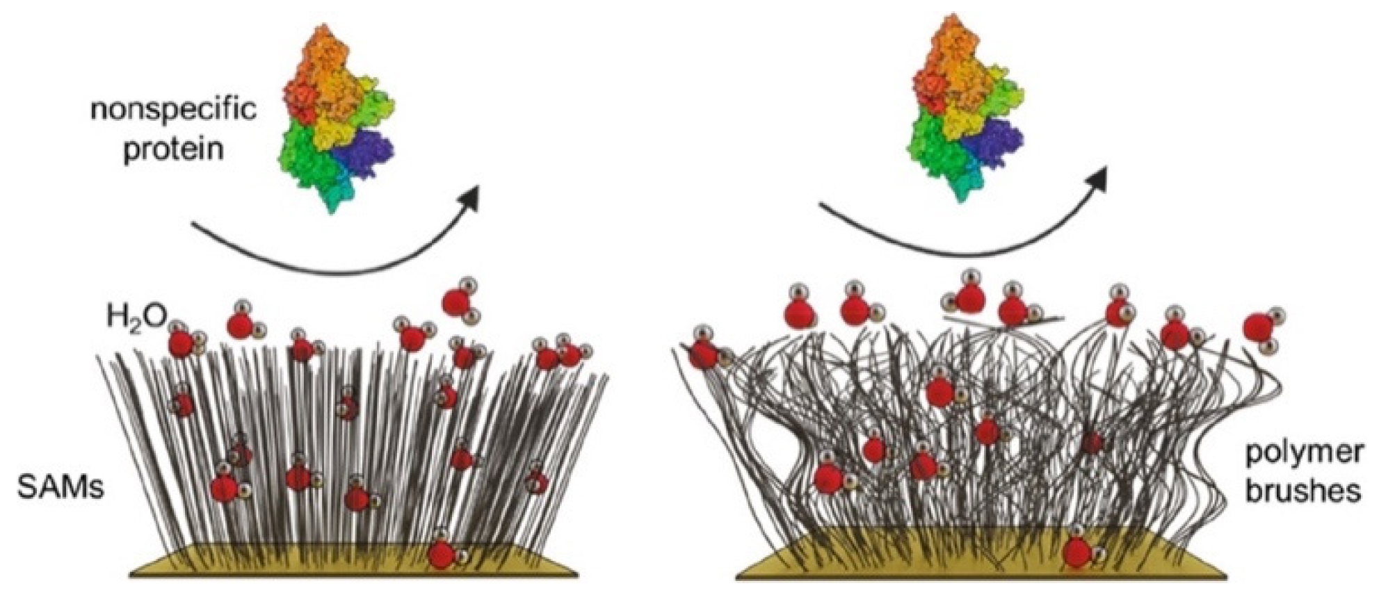 Coatings 12 01462 g002 Coatings 12 01462 g002