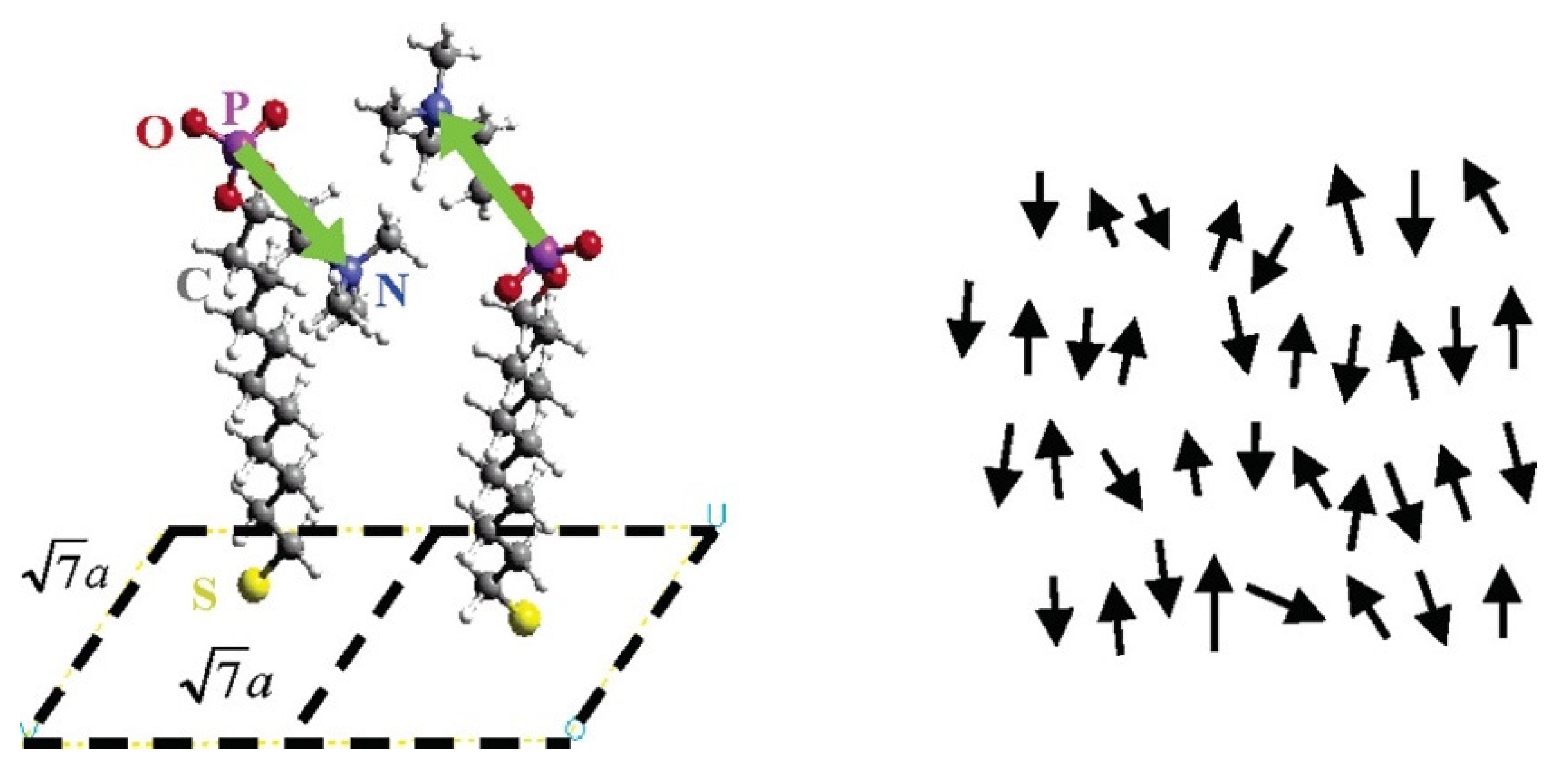 Coatings 12 01462 g005 Coatings 12 01462 g005