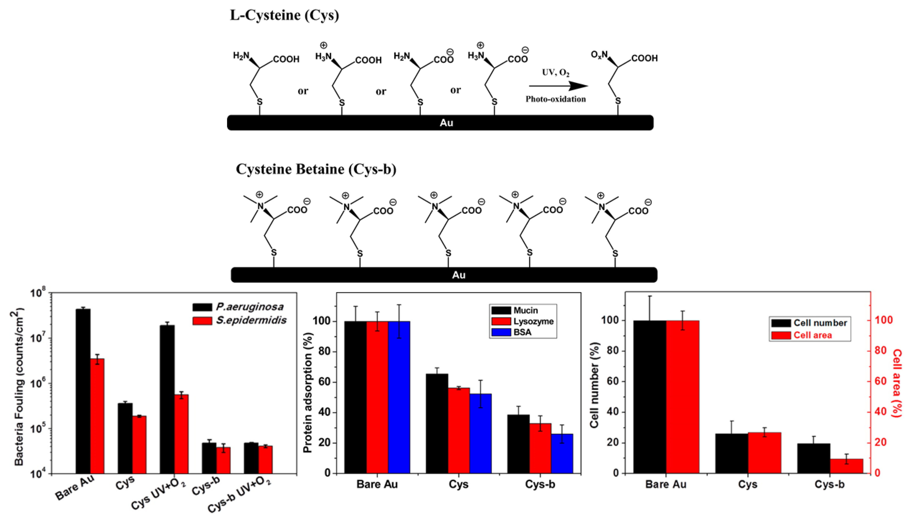 Coatings 12 01462 g006 Coatings 12 01462 g006