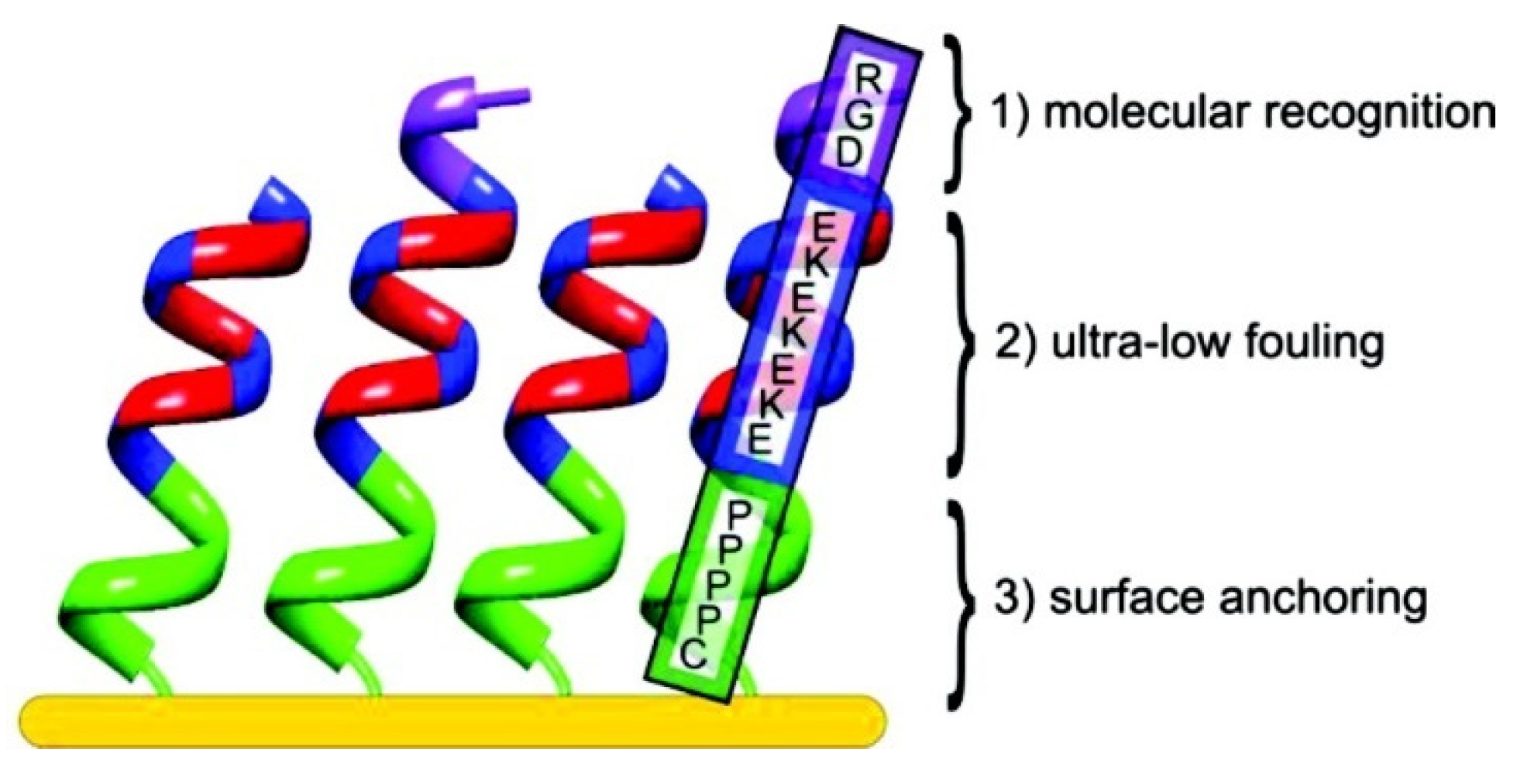 Coatings 12 01462 g007 Coatings 12 01462 g007