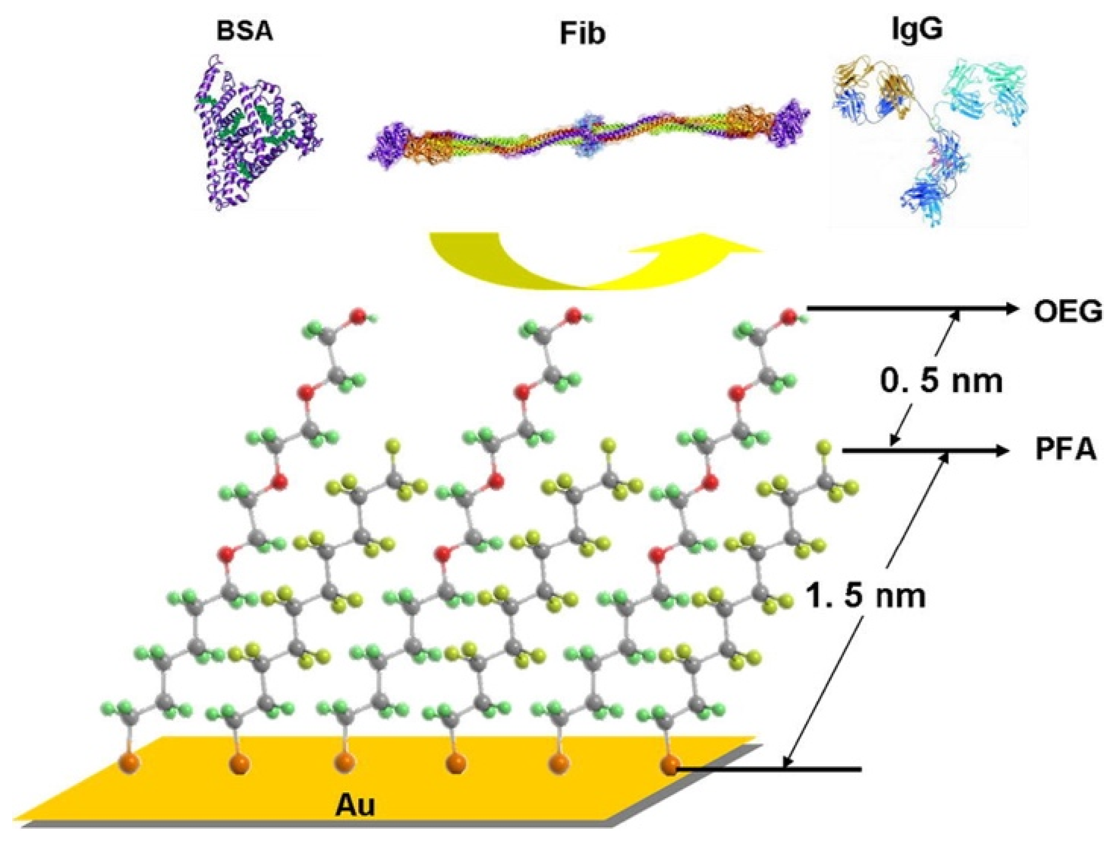 Coatings 12 01462 g012 Coatings 12 01462 g012