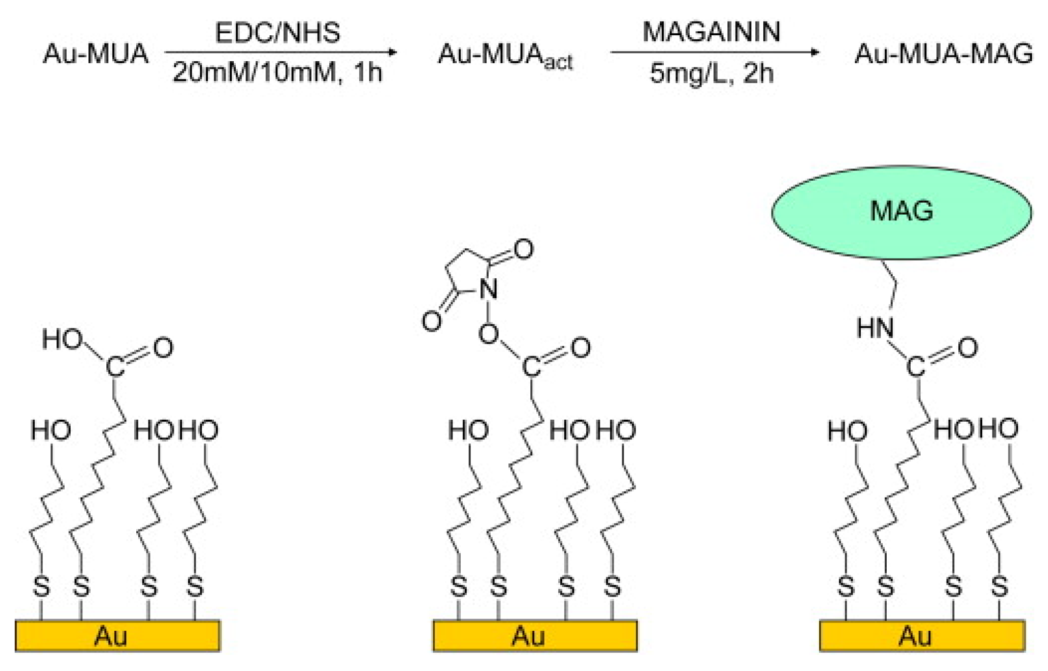 Coatings 12 01462 sch001 Coatings 12 01462 sch001