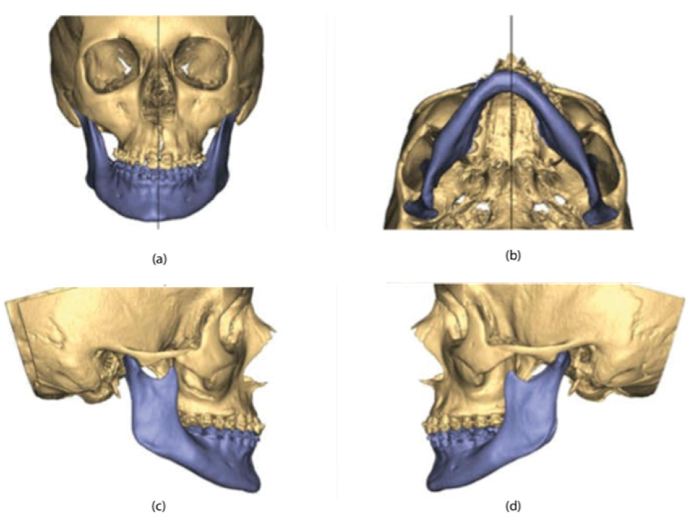 Coatings 12 01463 g002 Coatings 12 01463 g002