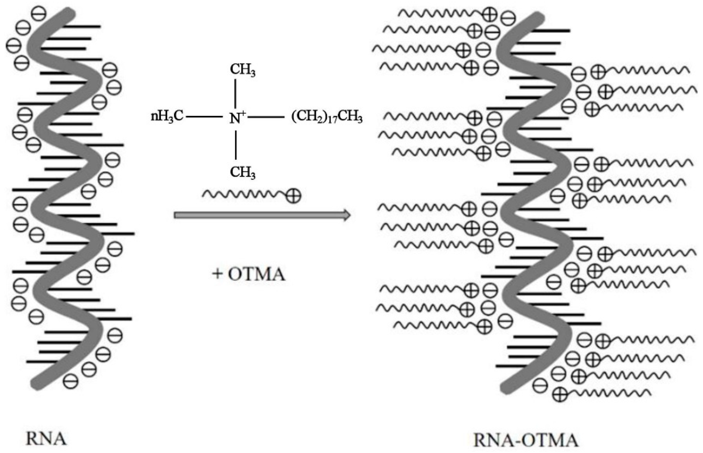 Coatings 12 01467 g002 Coatings 12 01467 g002