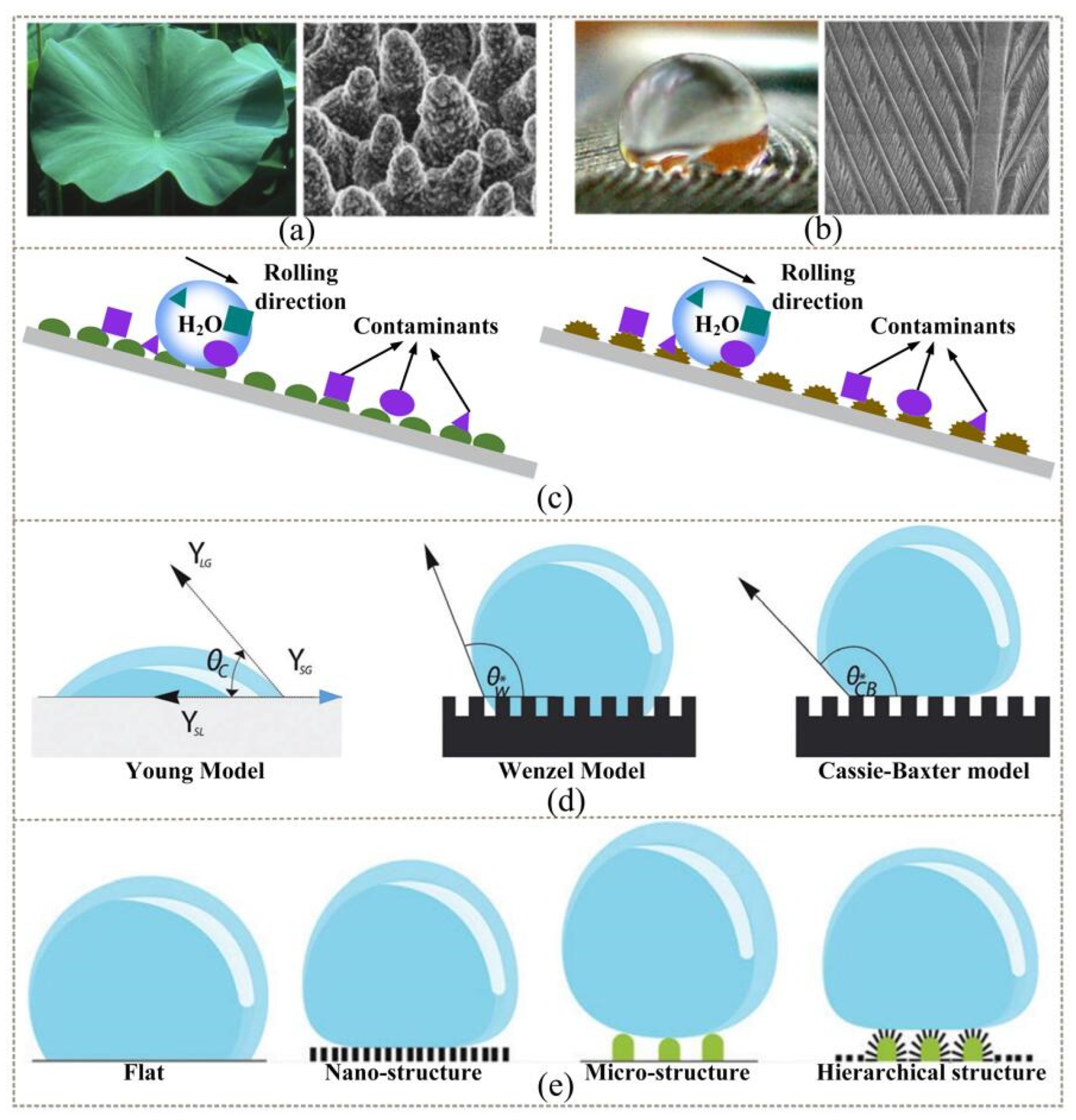 Physical Texturing for Superhydrophobic Polymeric Surfaces: A