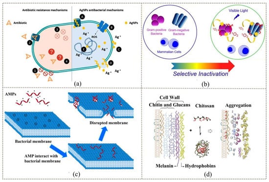 Recent Advances in Superhydrophobic and Antibacterial Cellulose