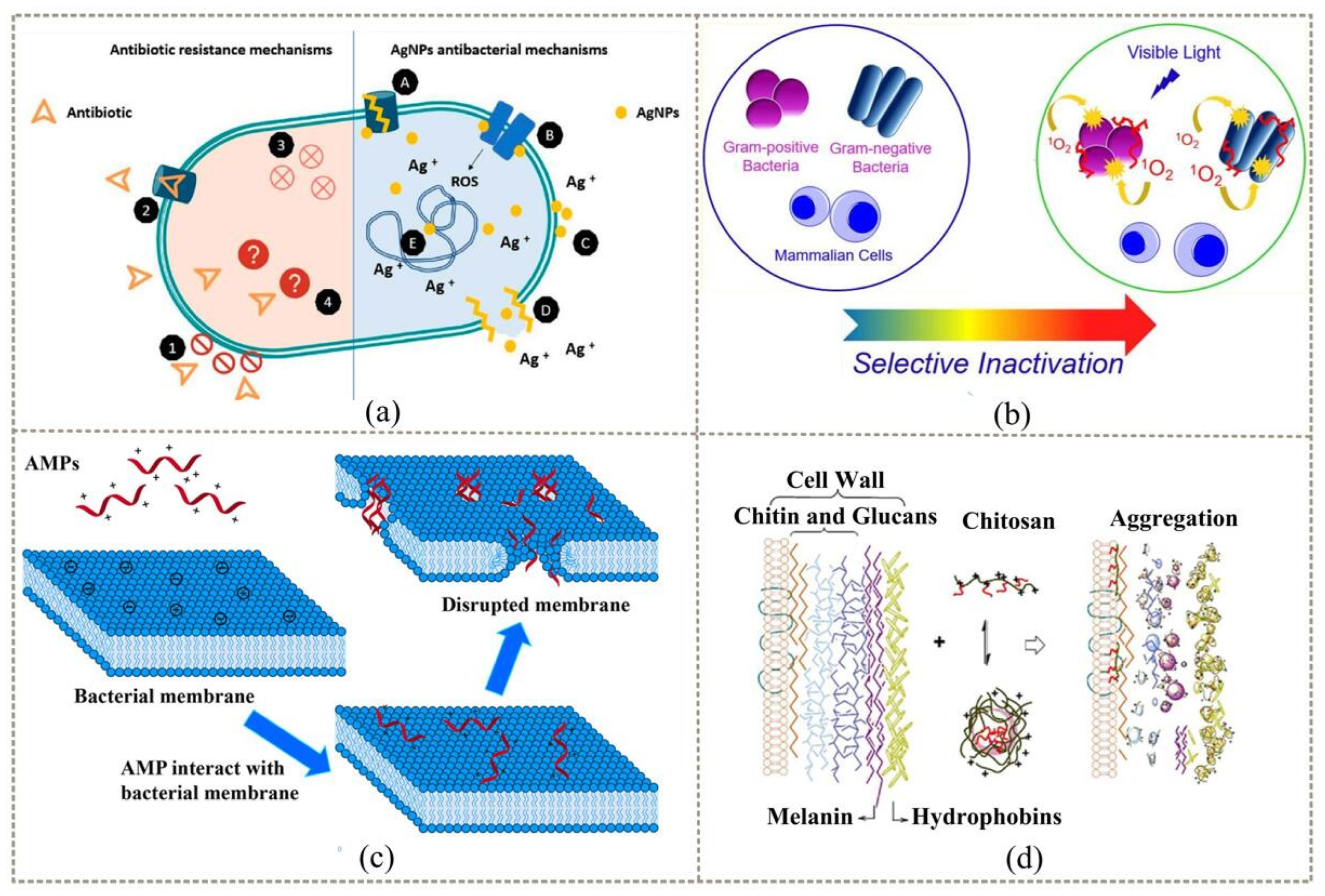 Coatings 12 01469 g006 Coatings 12 01469 g006