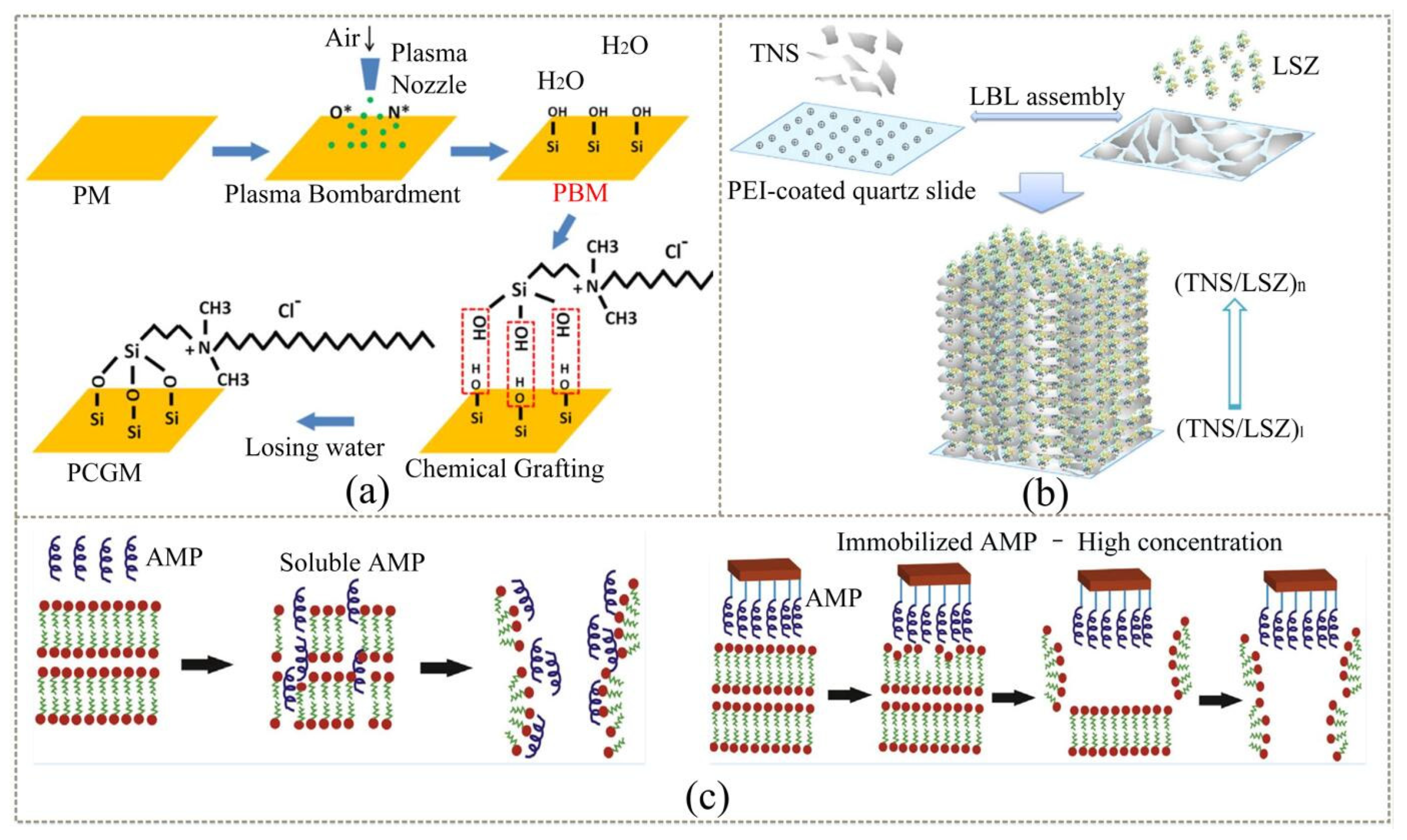 Coatings 12 01469 g008 Coatings 12 01469 g008