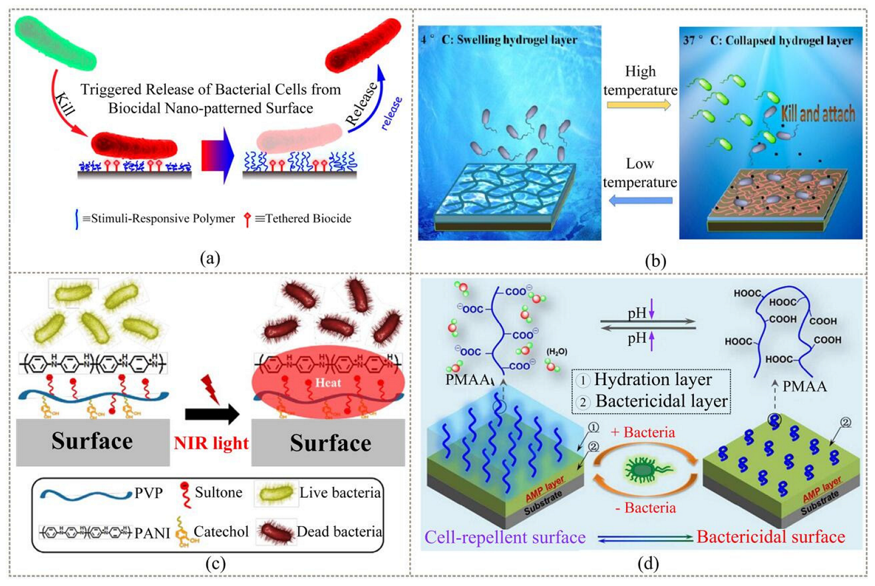 Coatings 12 01469 g010 Coatings 12 01469 g010