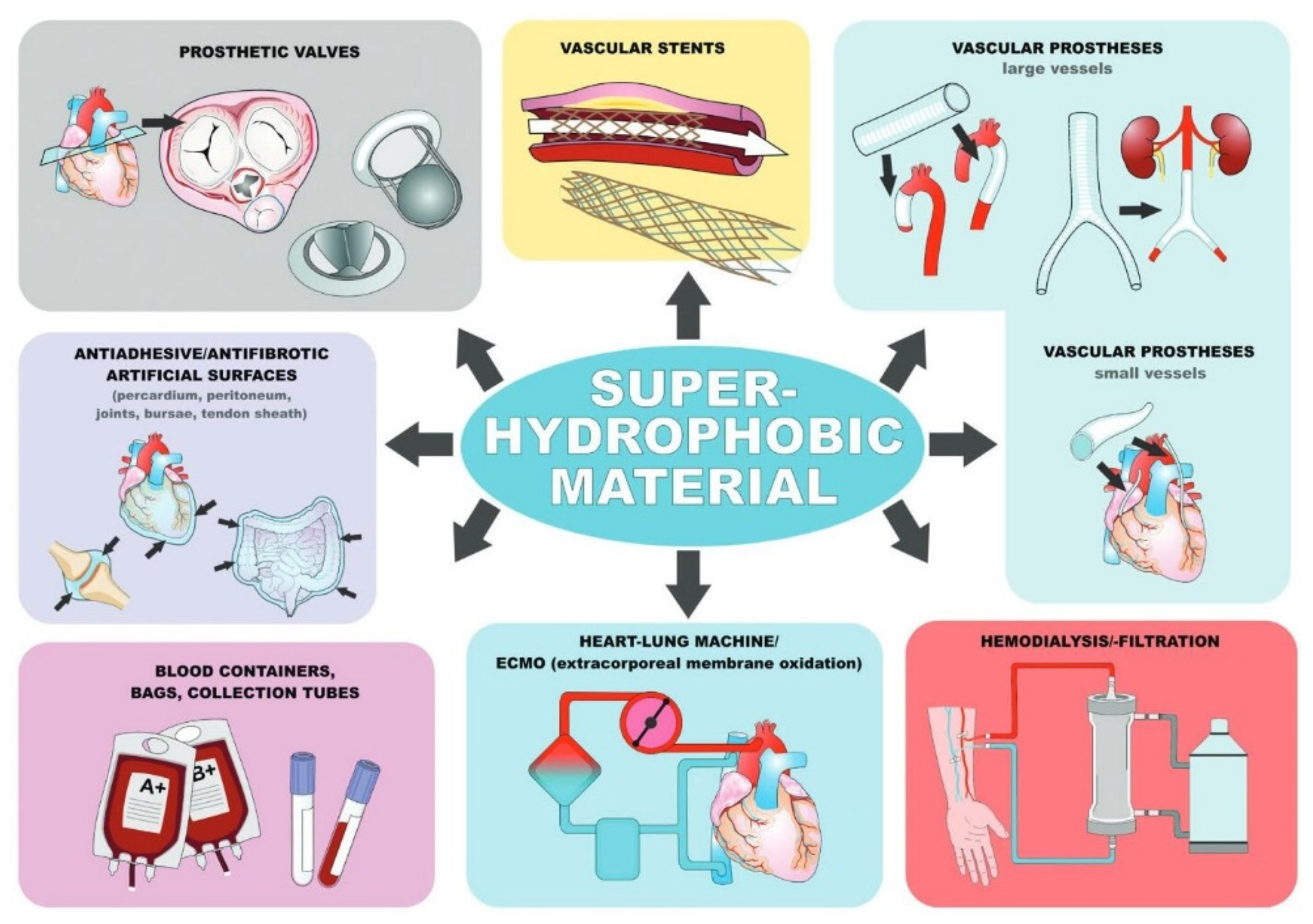 Coatings 12 01469 g011 Coatings 12 01469 g011