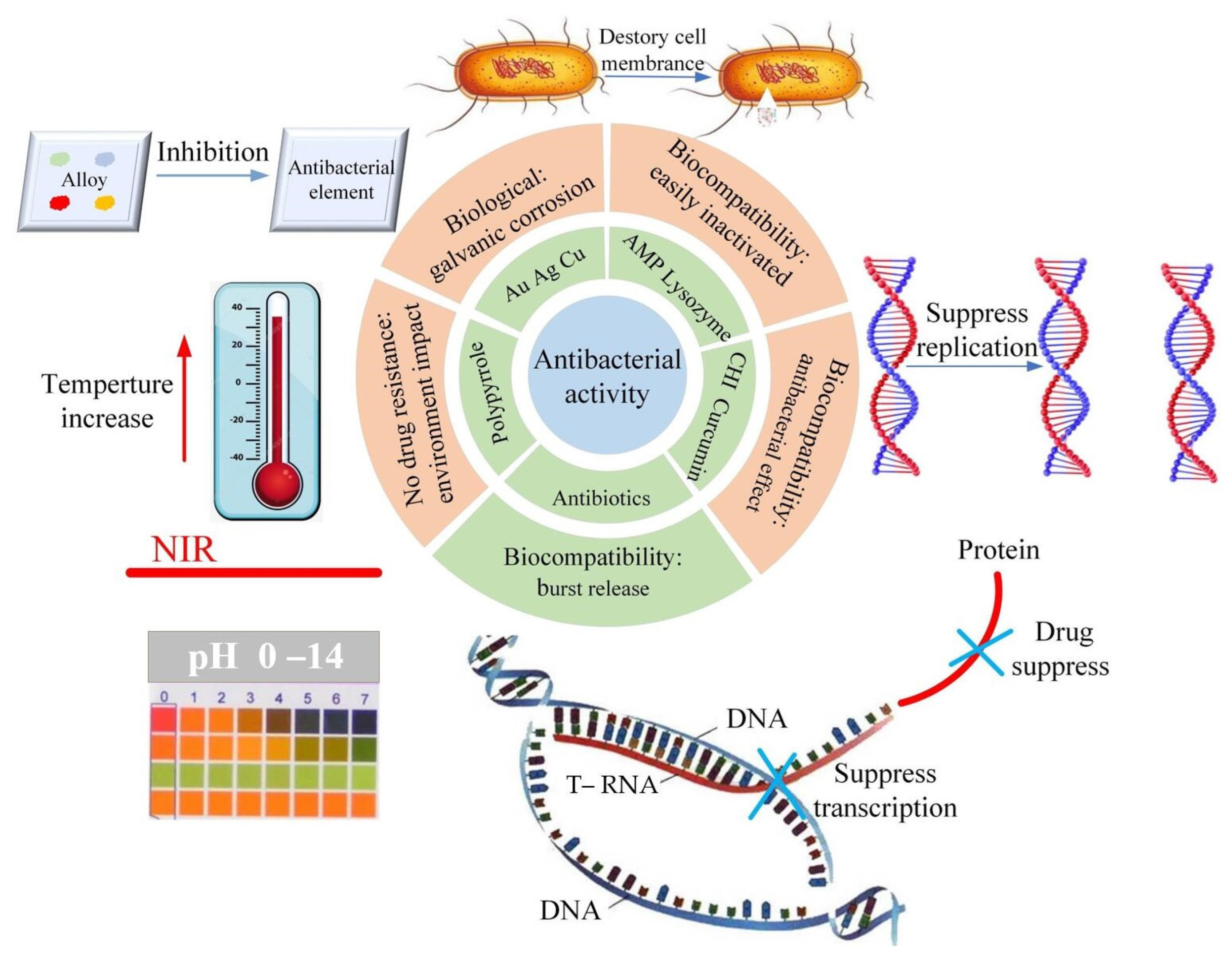 Coatings 12 01469 g014 Coatings 12 01469 g014