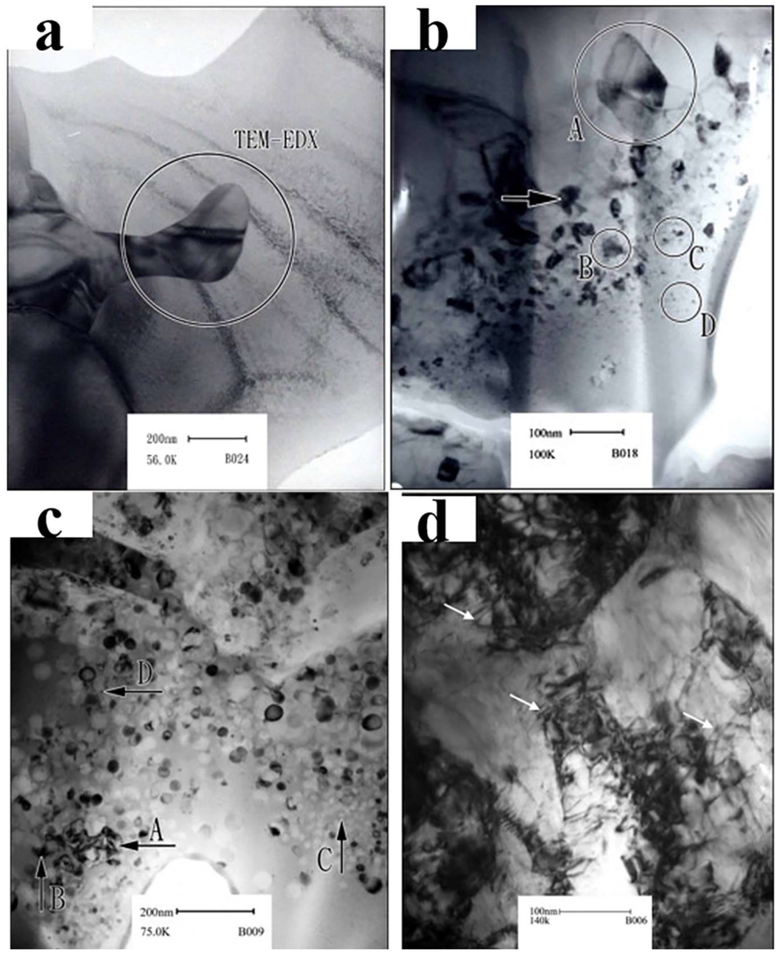 Coatings 12 01472 g003