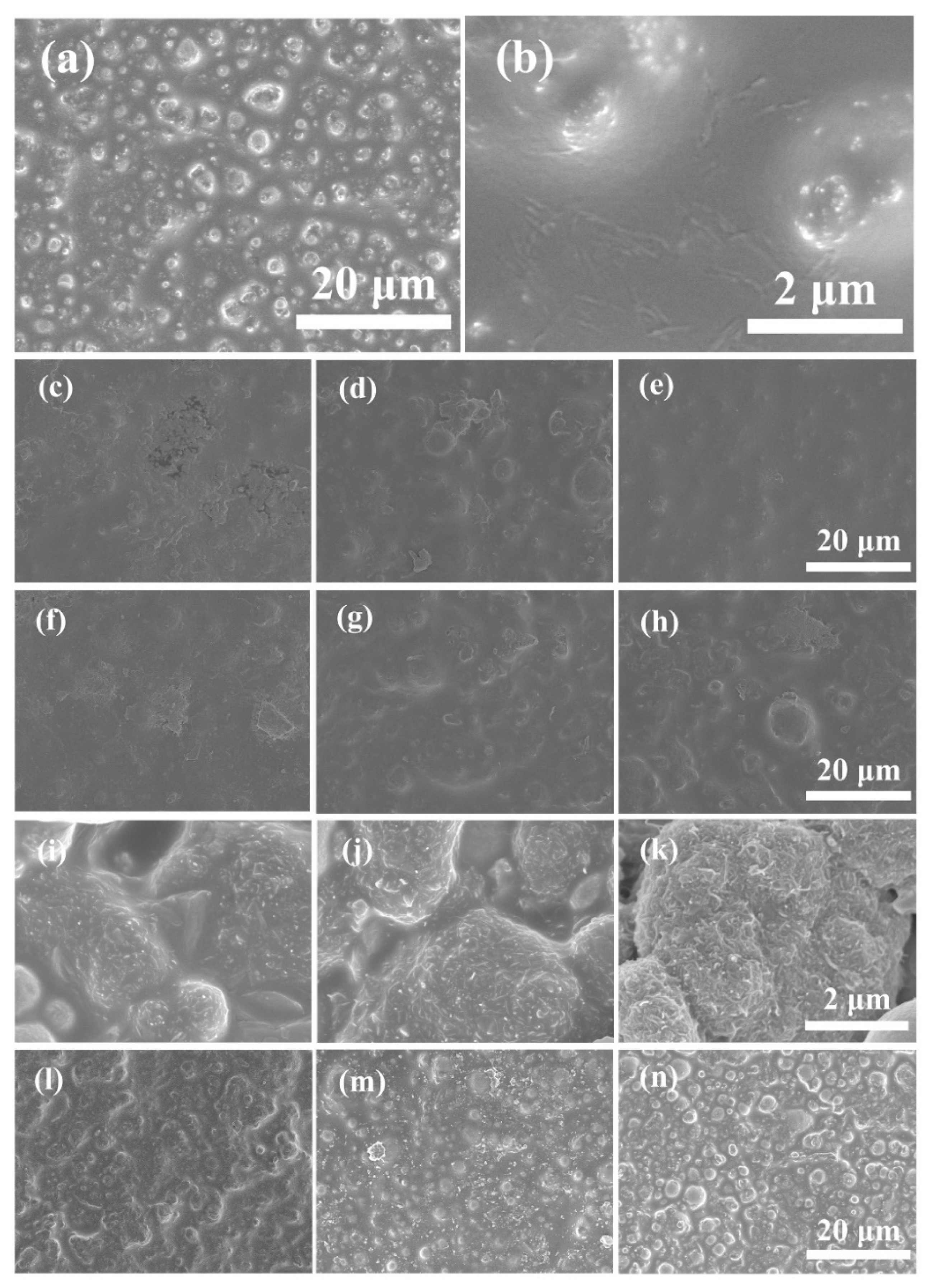 Comparative Study of Carbonaceous and Polymer Conductive