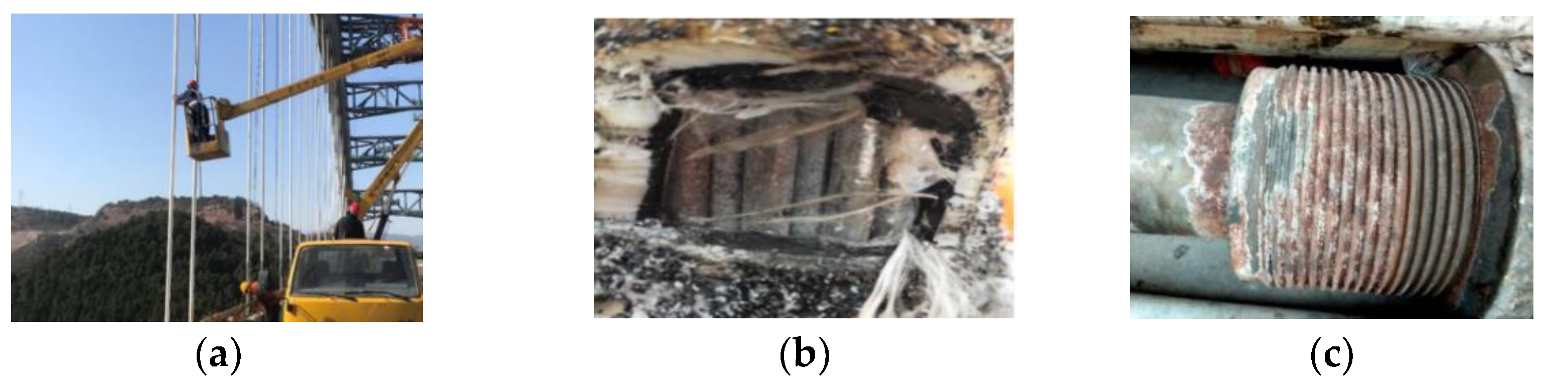 Coatings 12 01475 g003 550