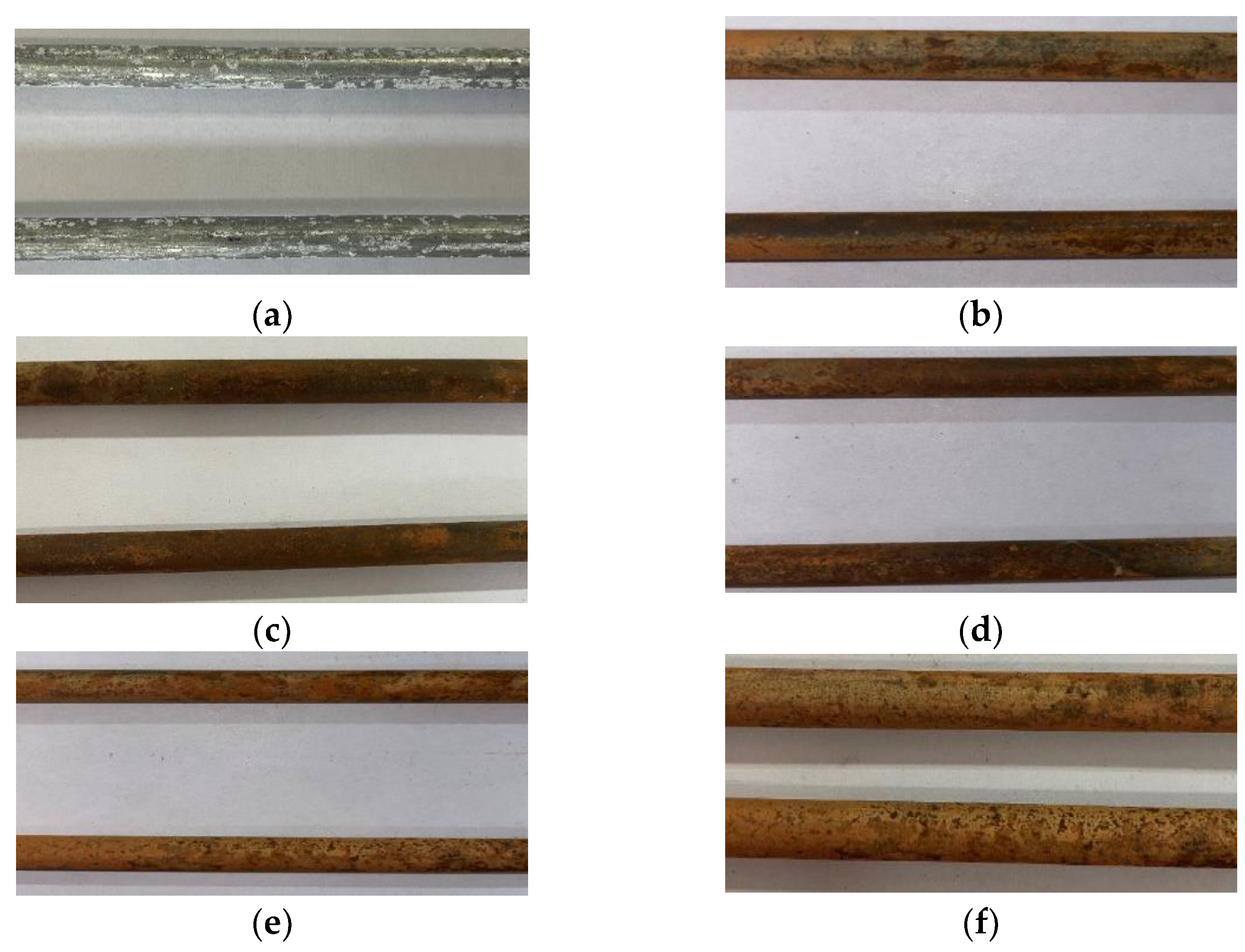 Coatings 12 01475 g007 550