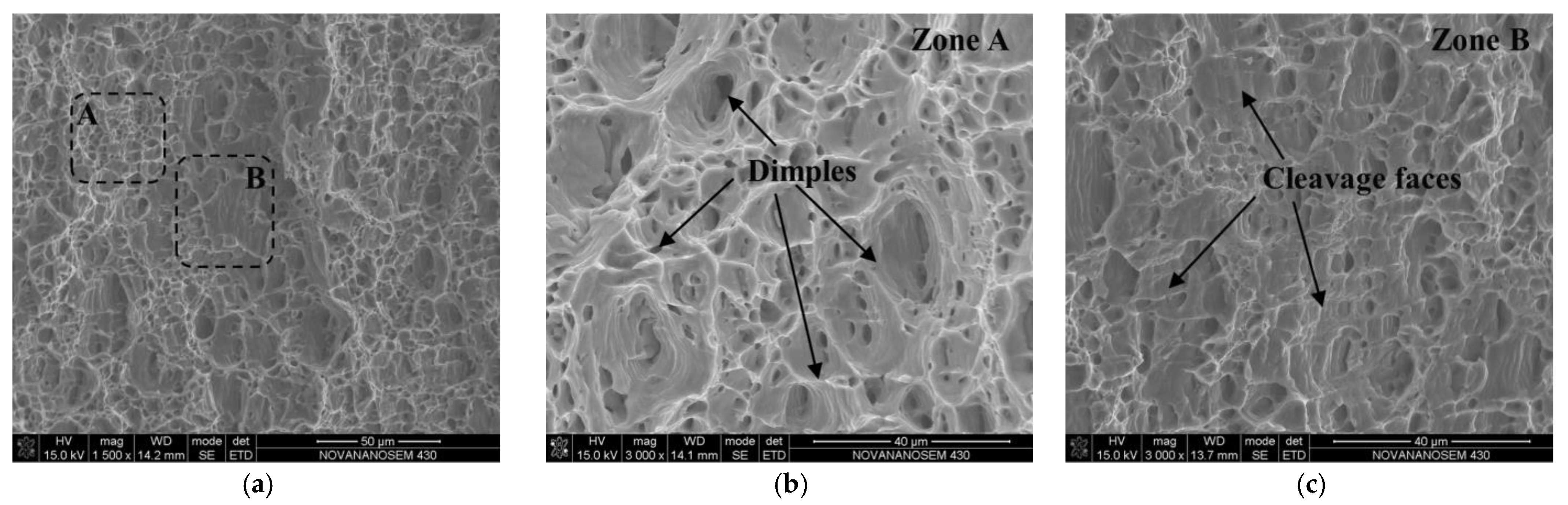 Coatings 12 01479 g016