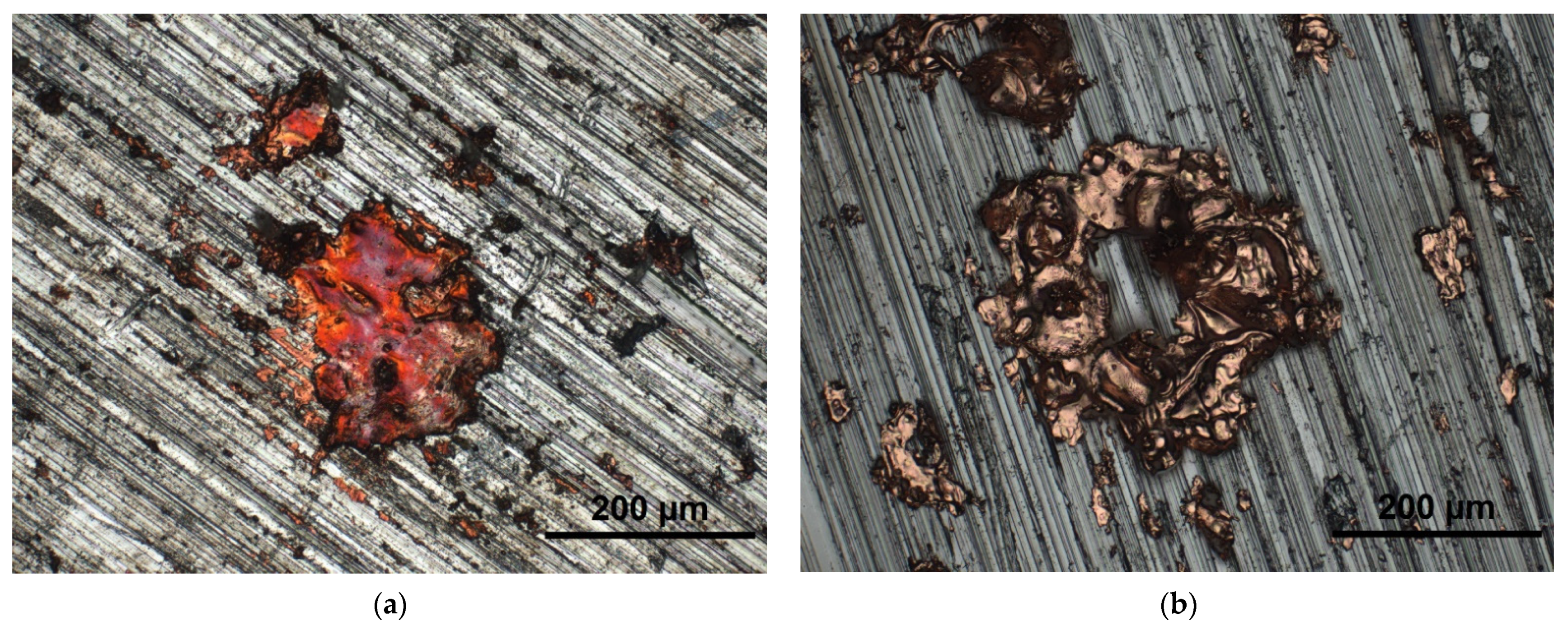 Coatings 12 01482 g012 Coatings 12 01482 g012