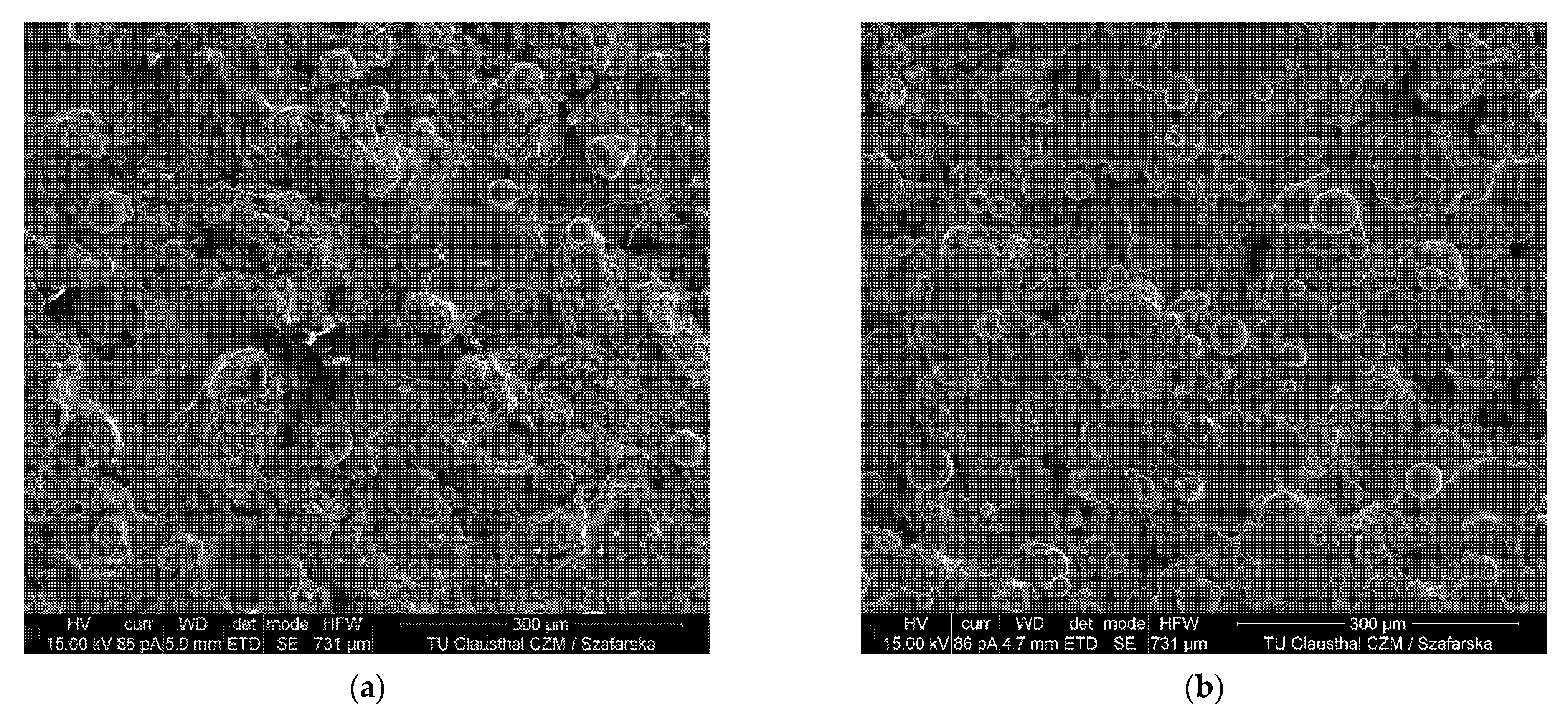 Coatings 12 01482 g013 Coatings 12 01482 g013