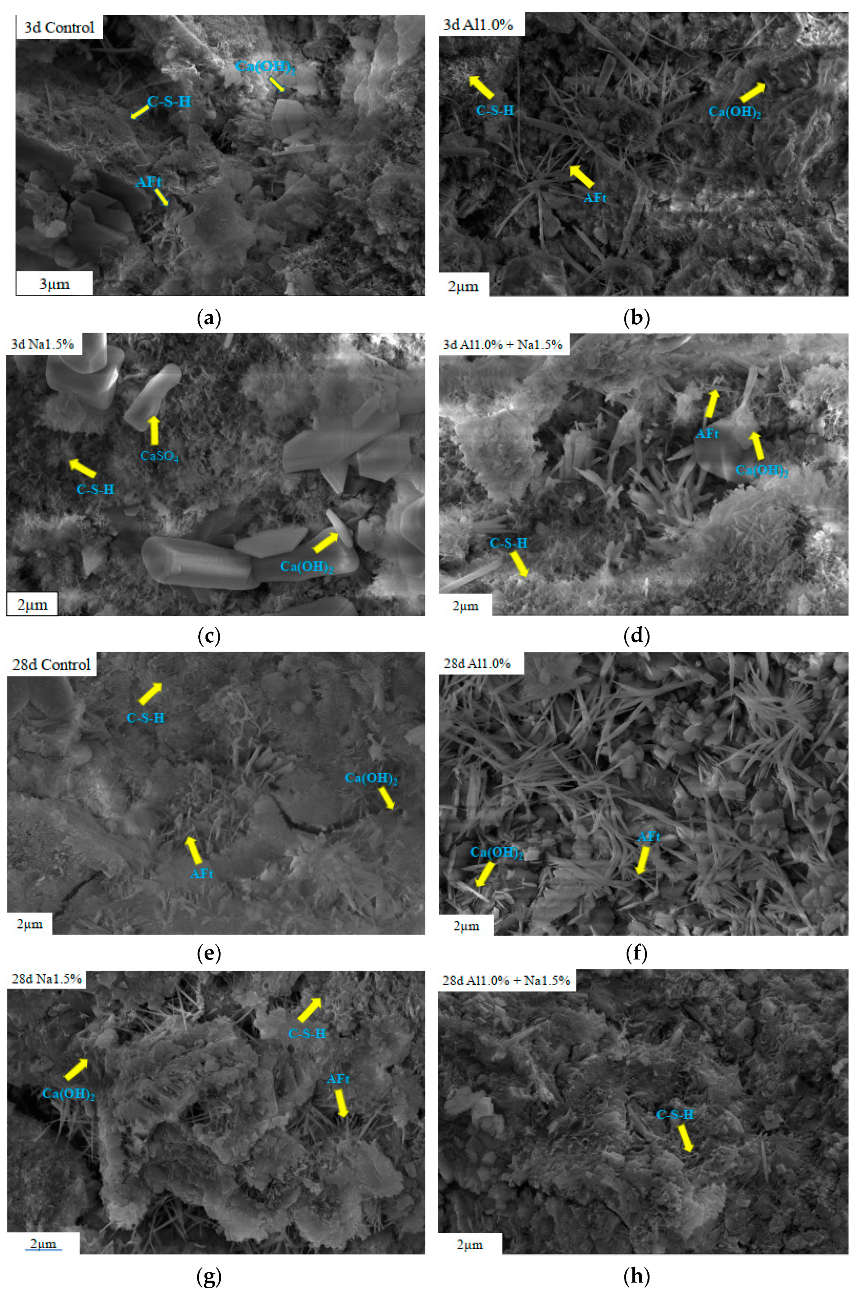 Coatings 12 01485 g006 Coatings 12 01485 g006