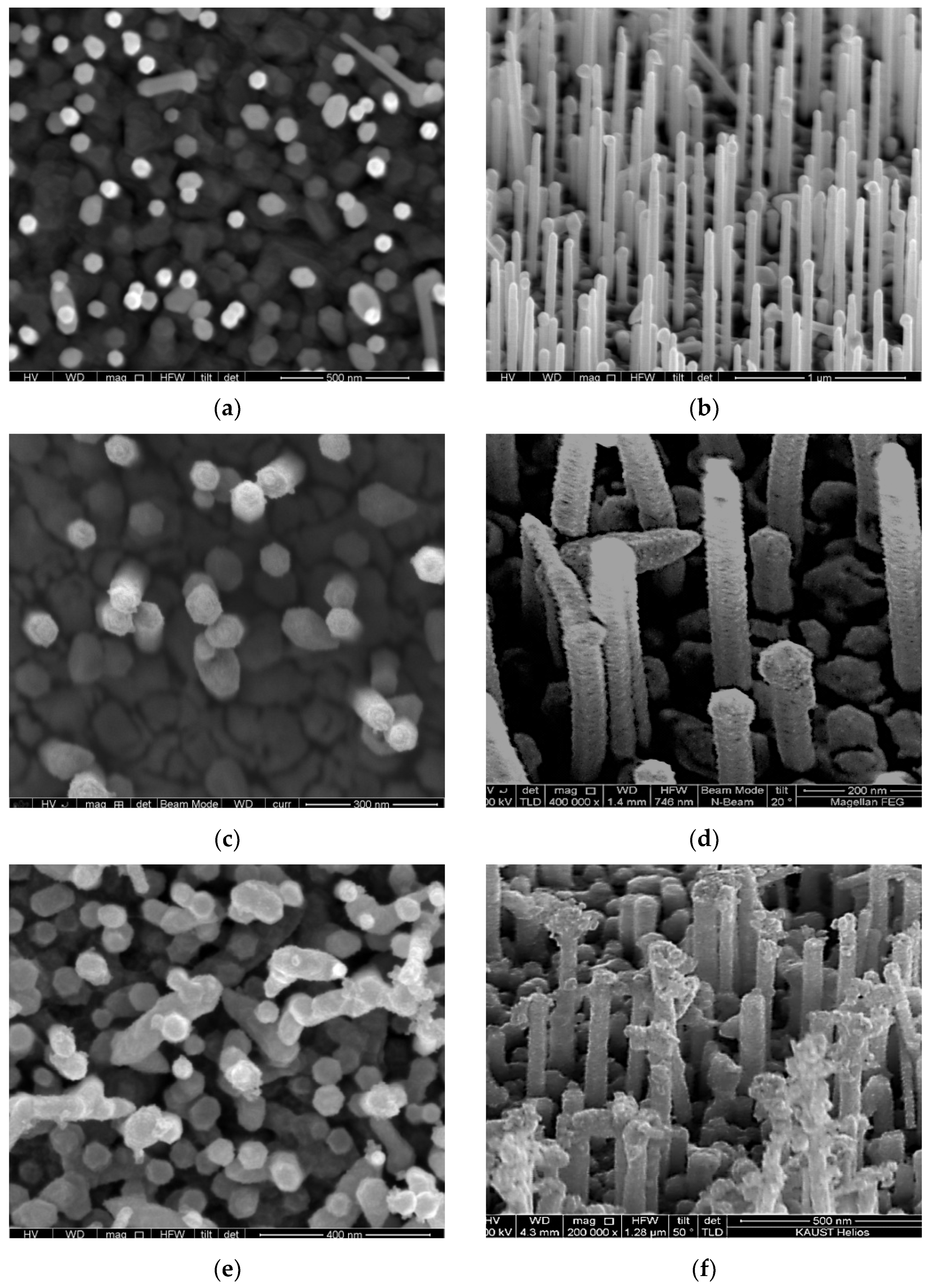 Coatings 12 01486 g005a