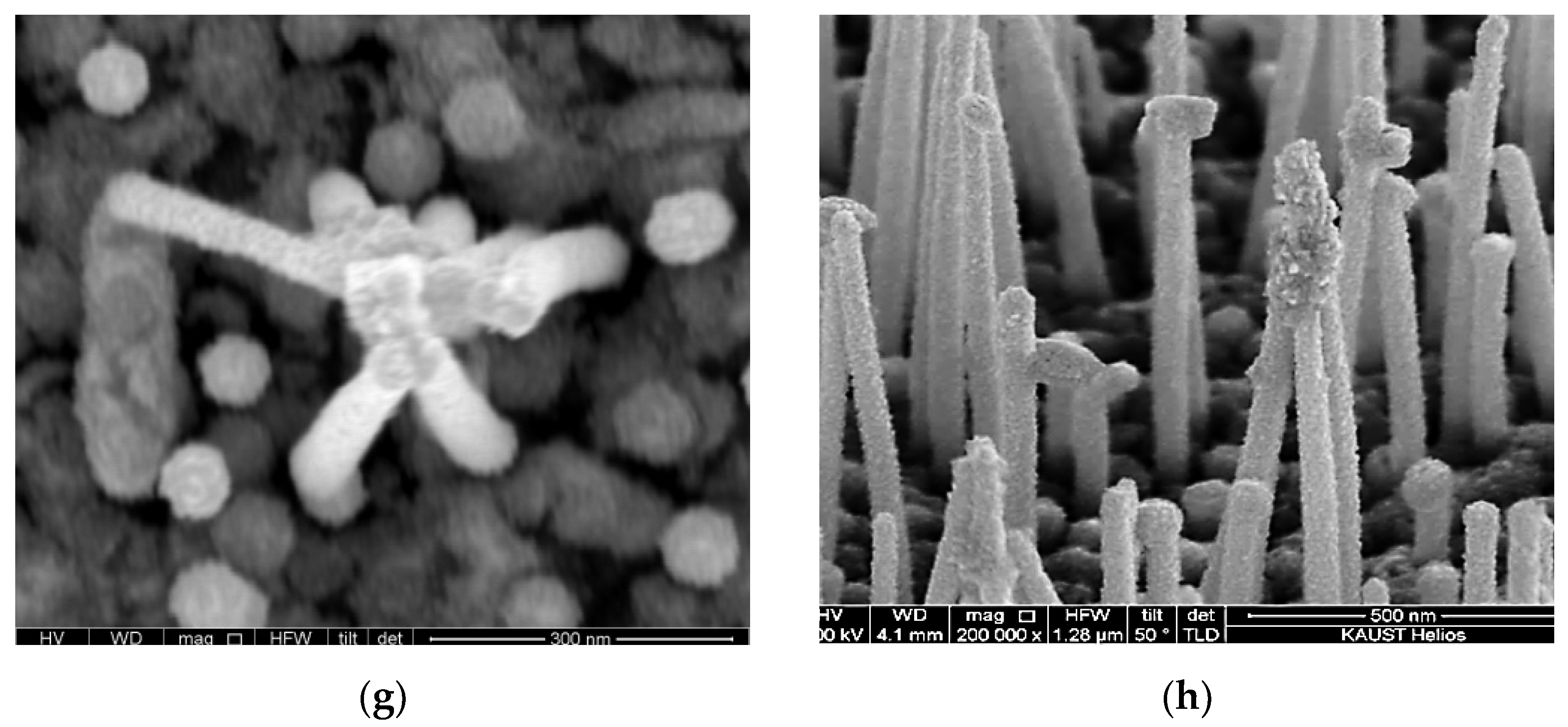 Coatings 12 01486 g005b