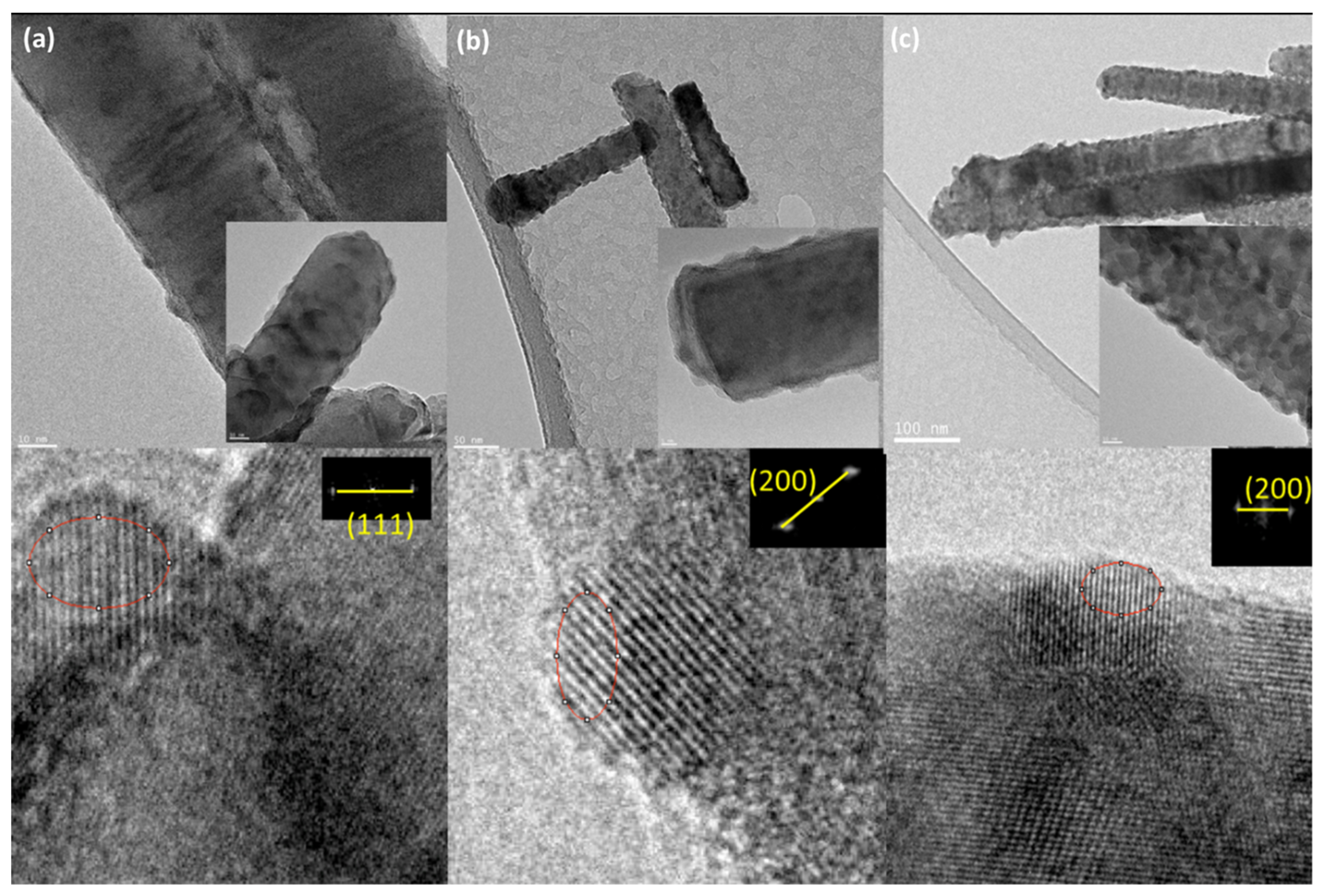 Coatings 12 01486 g006