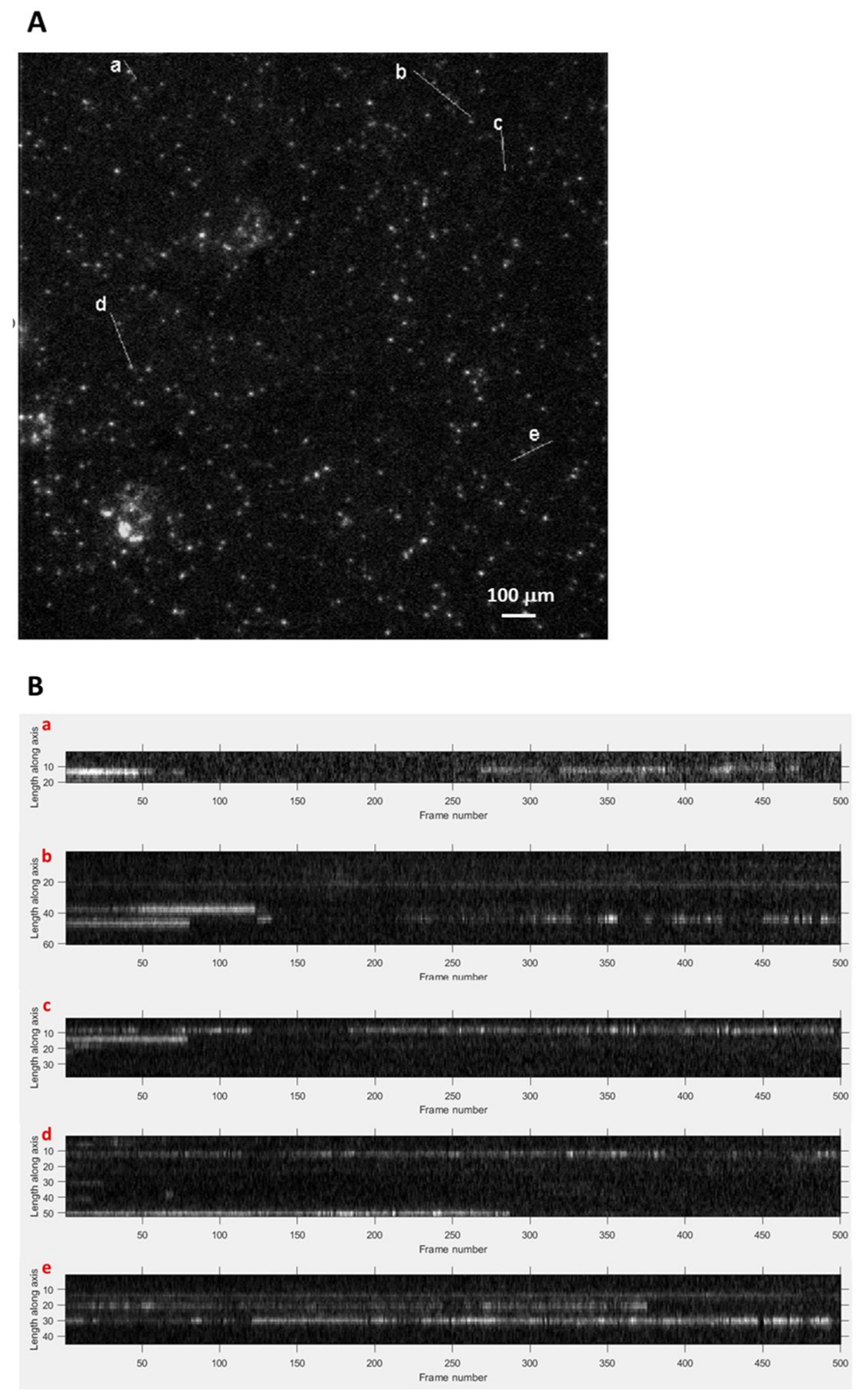Coatings 12 01486 g010