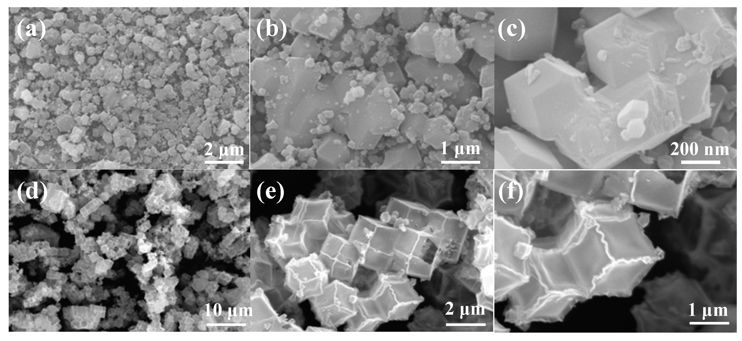 Coatings 12 01487 g001
