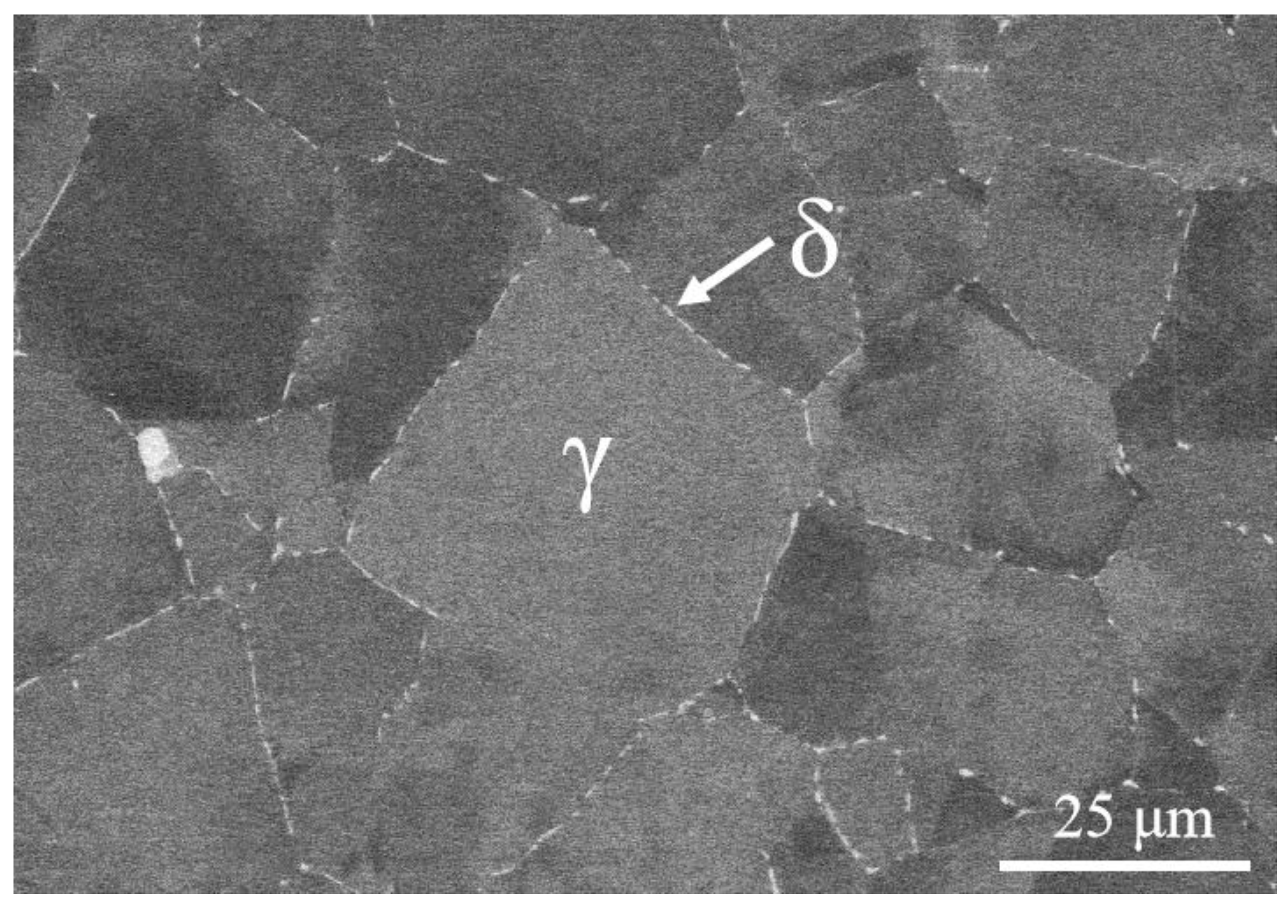 Microstructure and Mechanical Properties of GH4169 Superalloy and