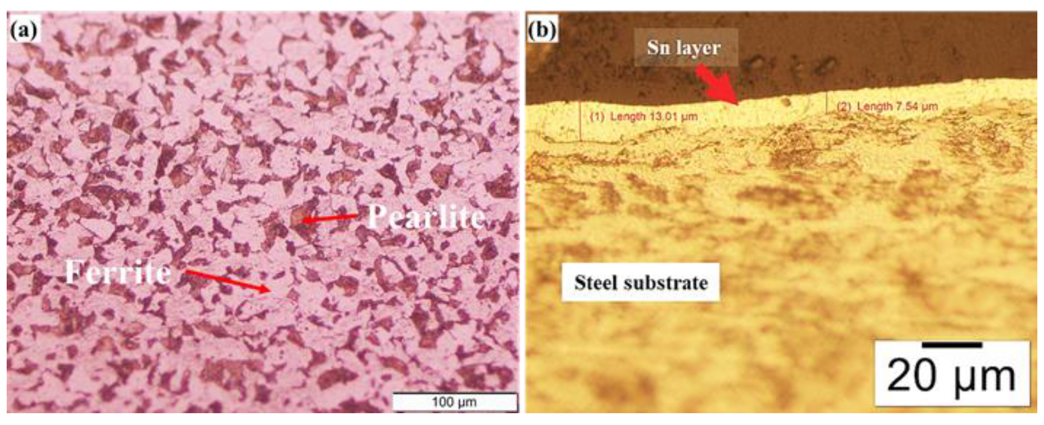 Coatings 12 01499 g001 Coatings 12 01499 g001