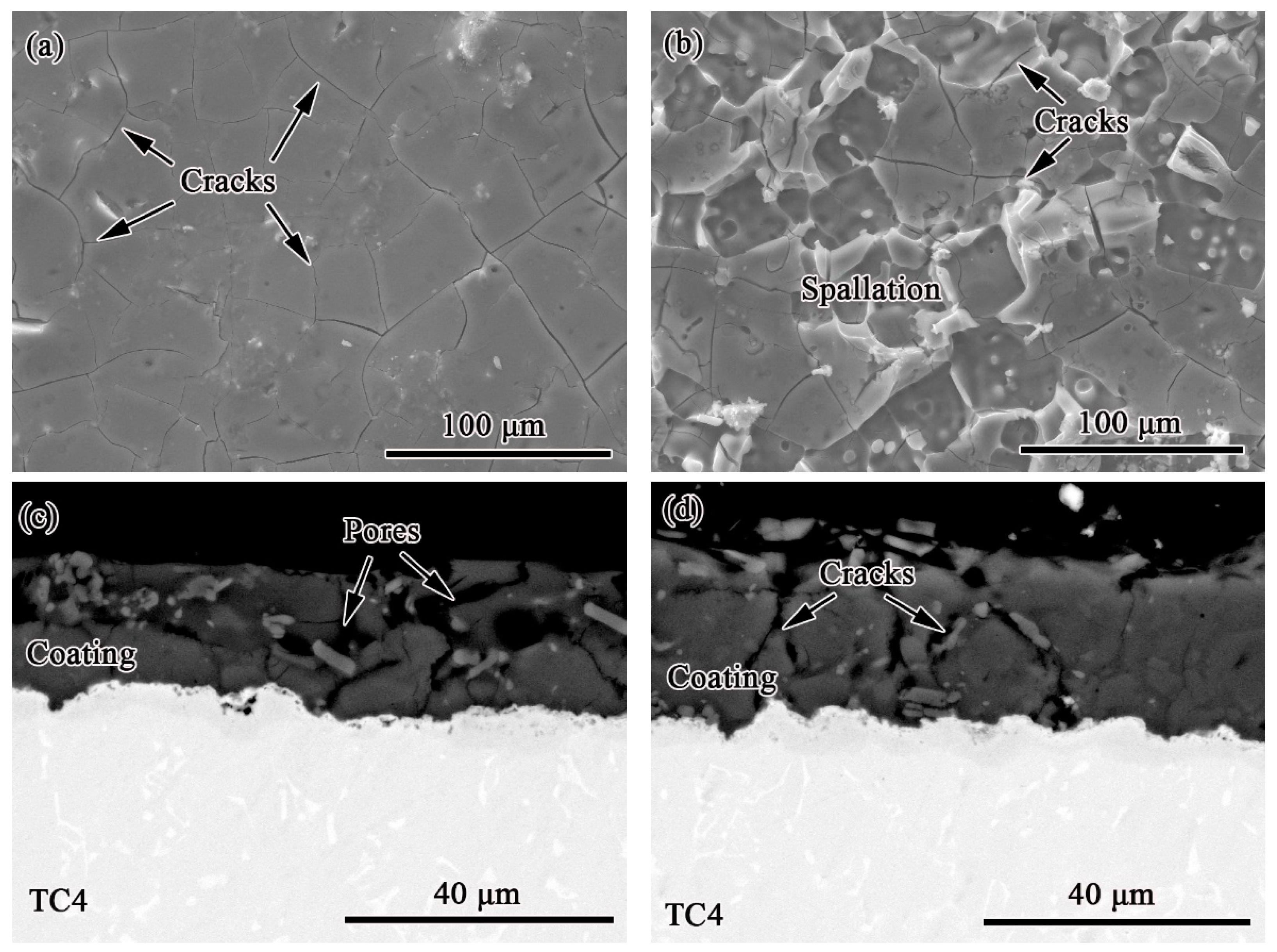 Coatings 12 01503 g008 Coatings 12 01503 g008
