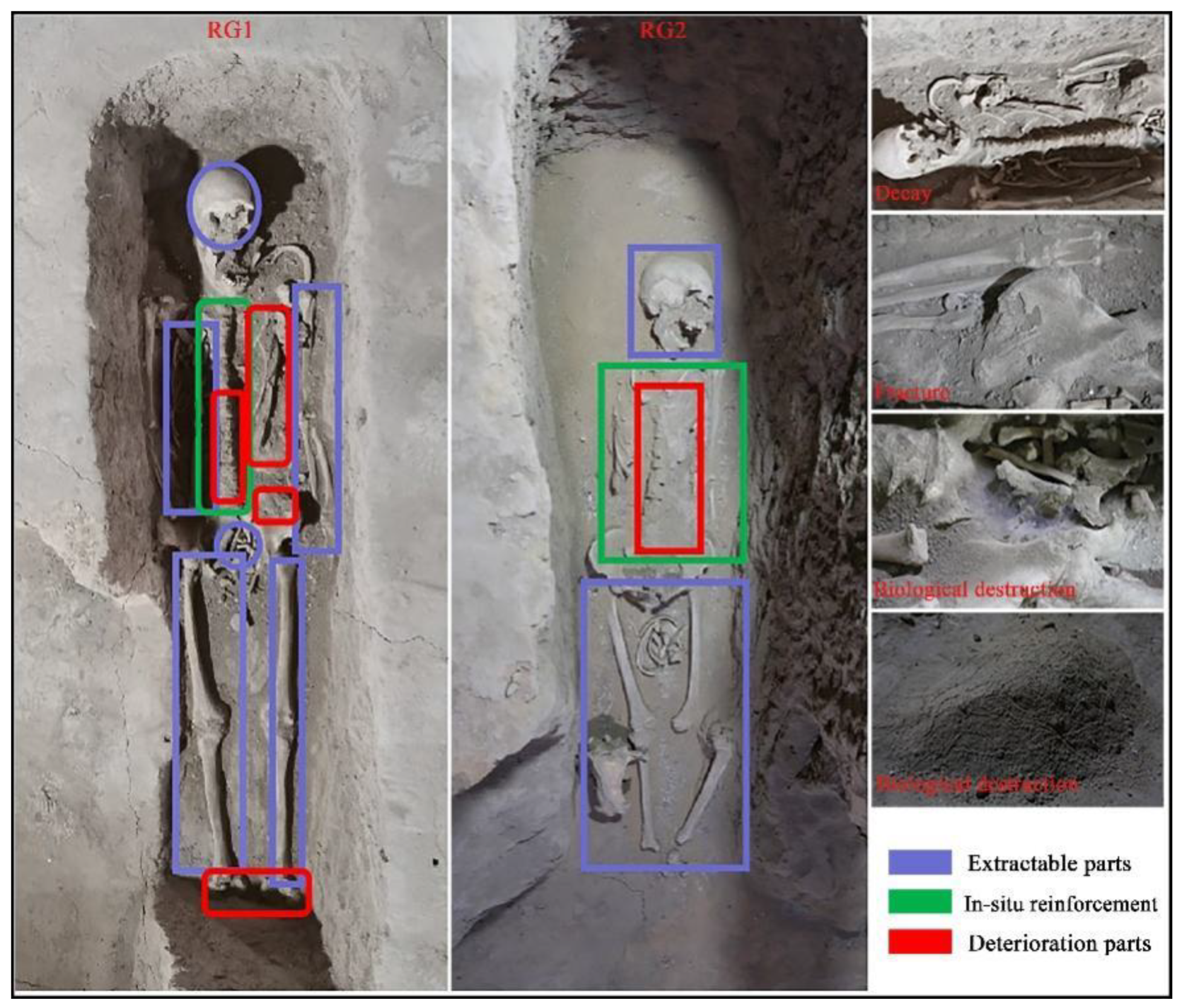 Coatings 12 01507 g004