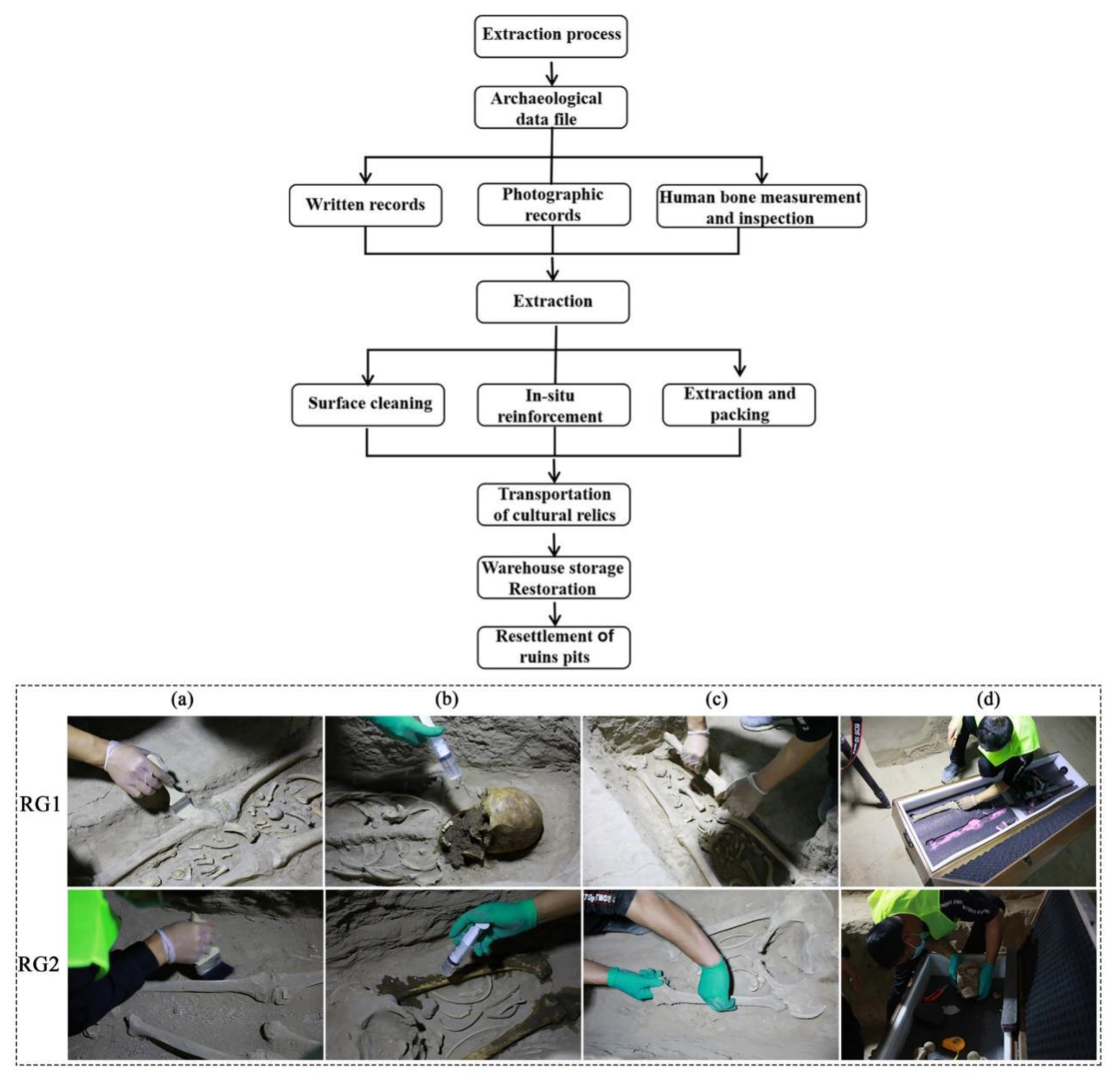 Coatings 12 01507 g005
