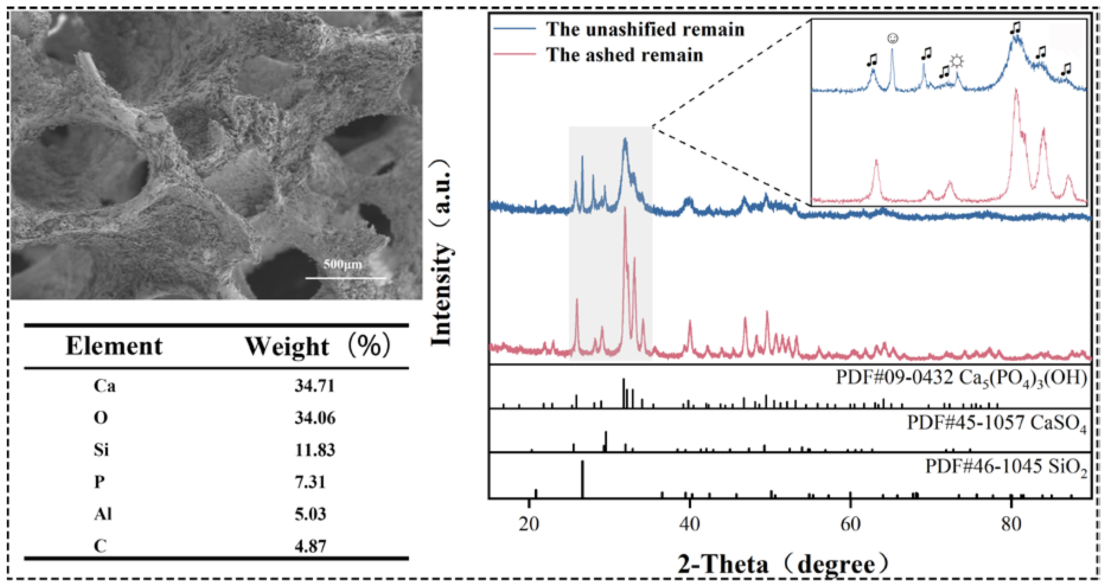 Coatings 12 01507 g006