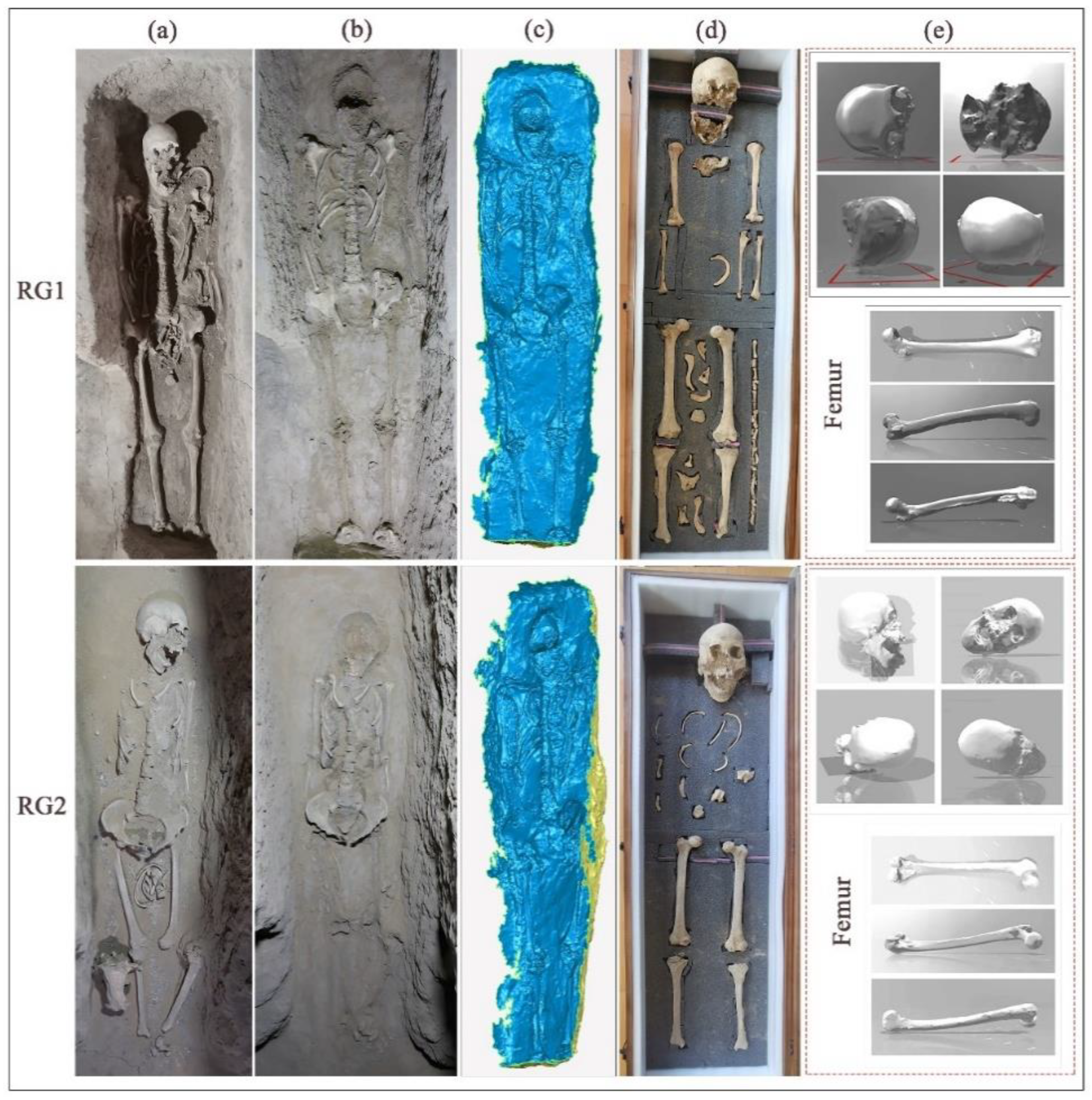 Coatings 12 01507 g007