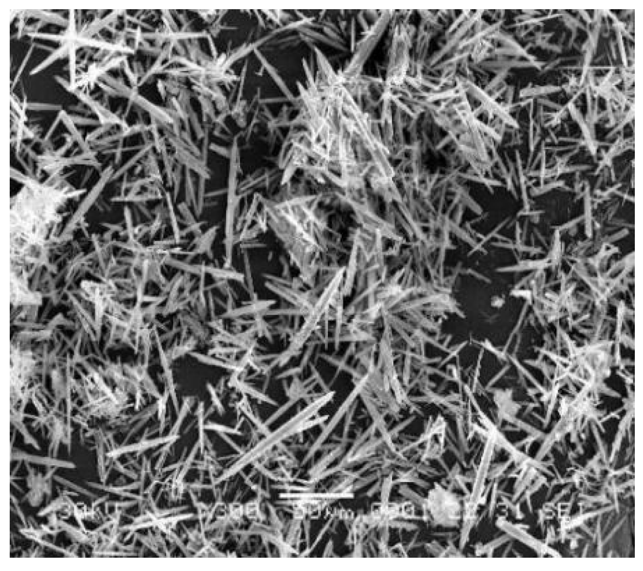 Coatings 12 01513 g002