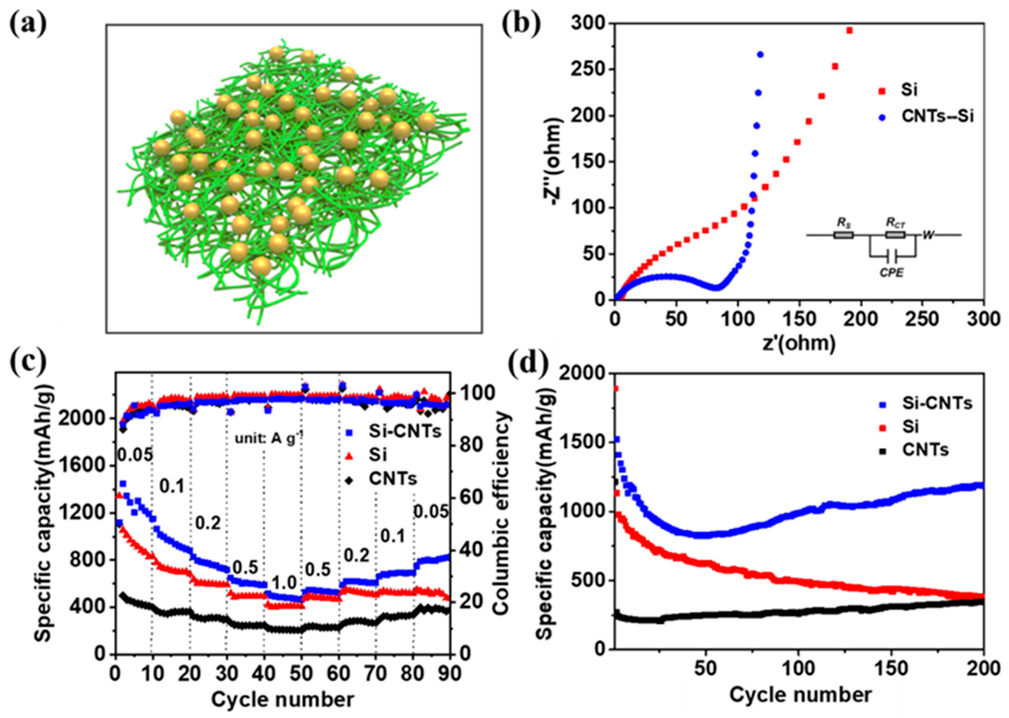 Coatings 12 01515 g004 Coatings 12 01515 g004